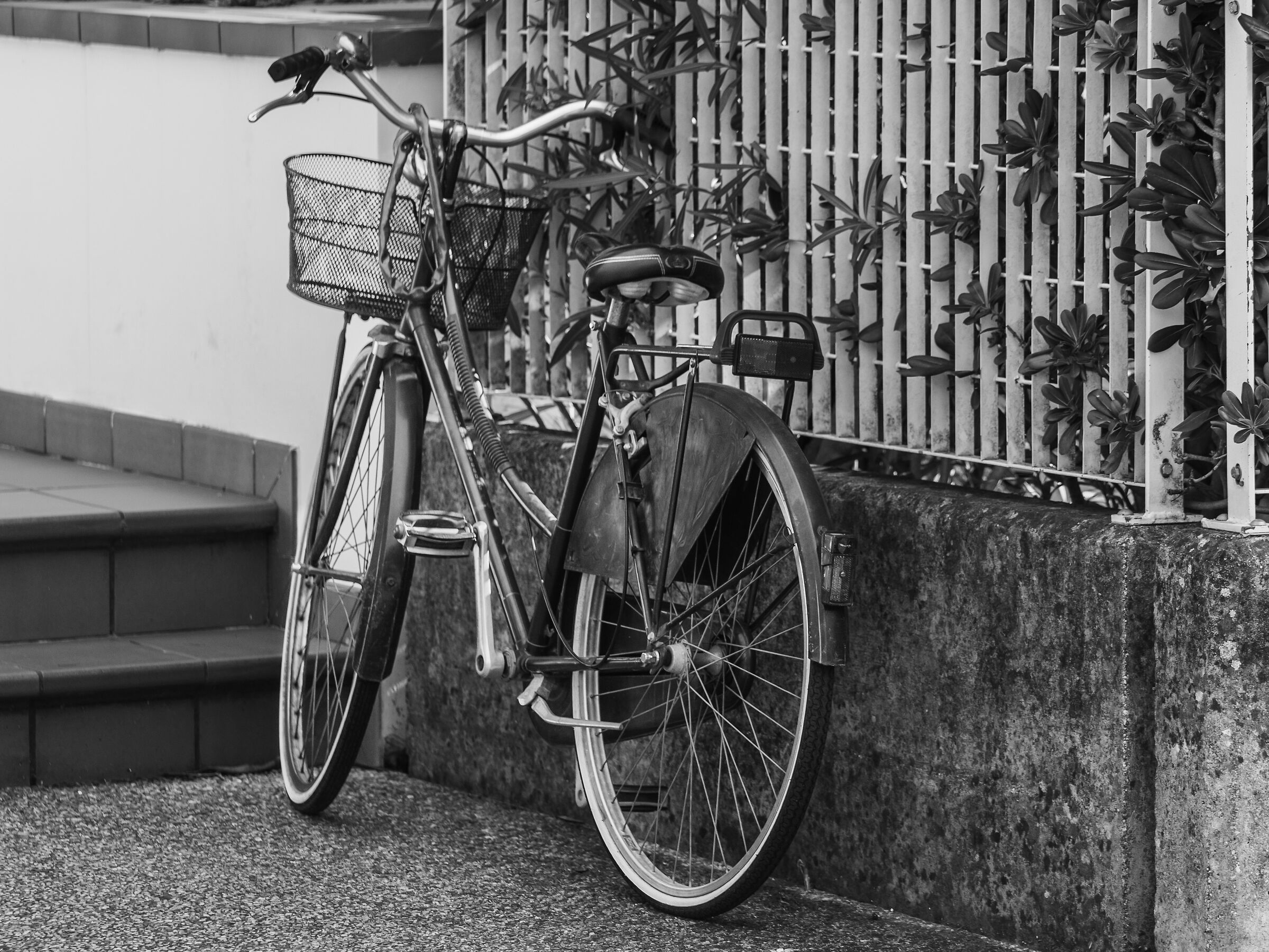 Untitled Photo