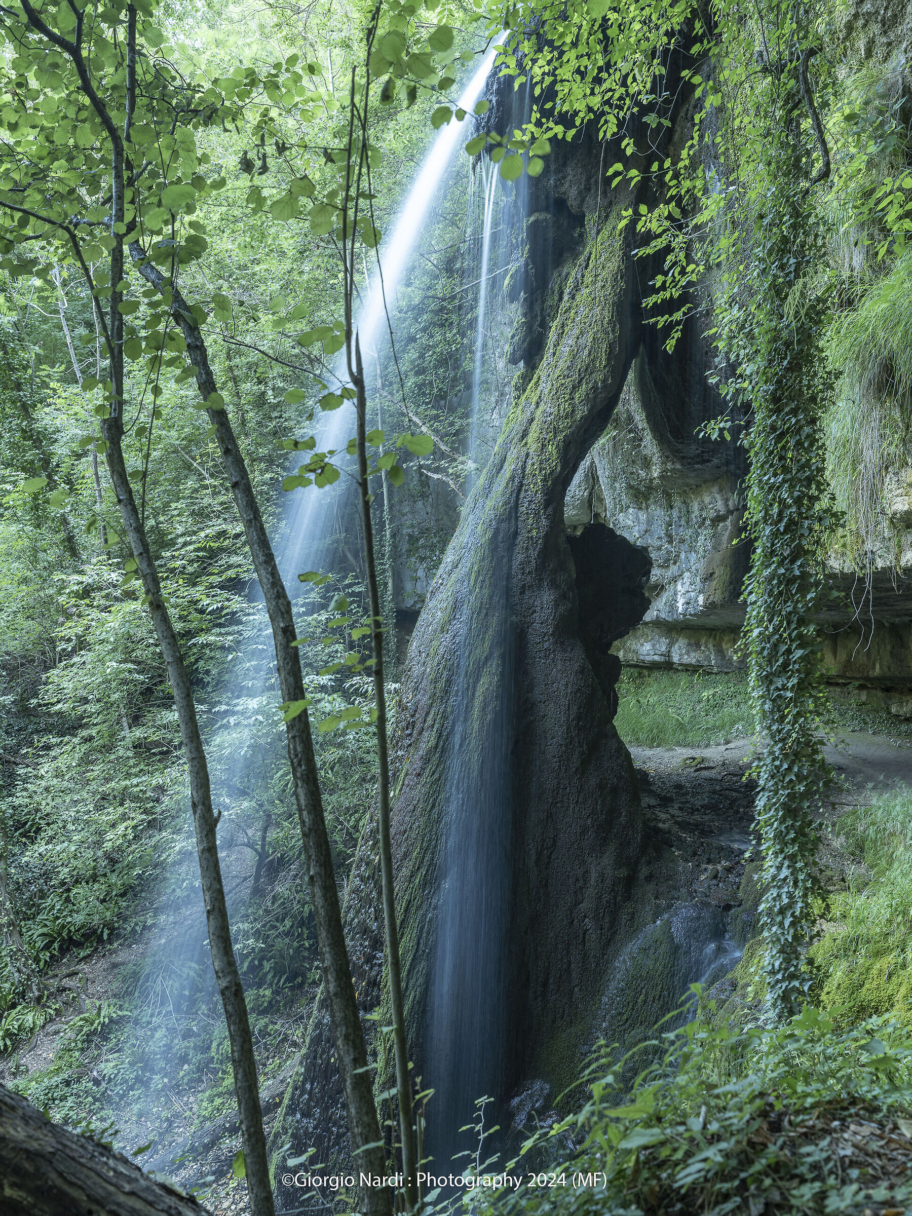 Cascata dell'alta Valle del Chiampo : 2
