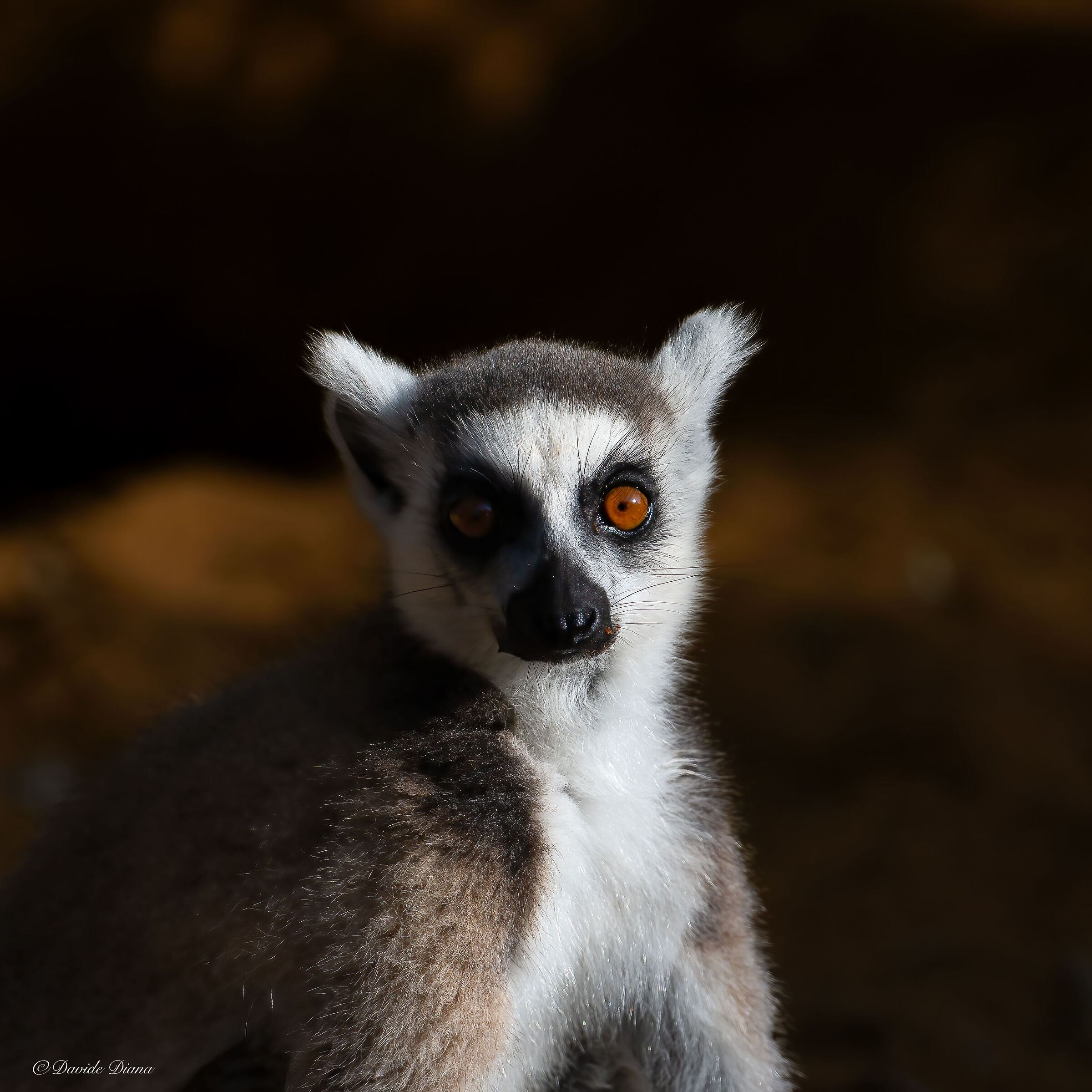 Madagascar