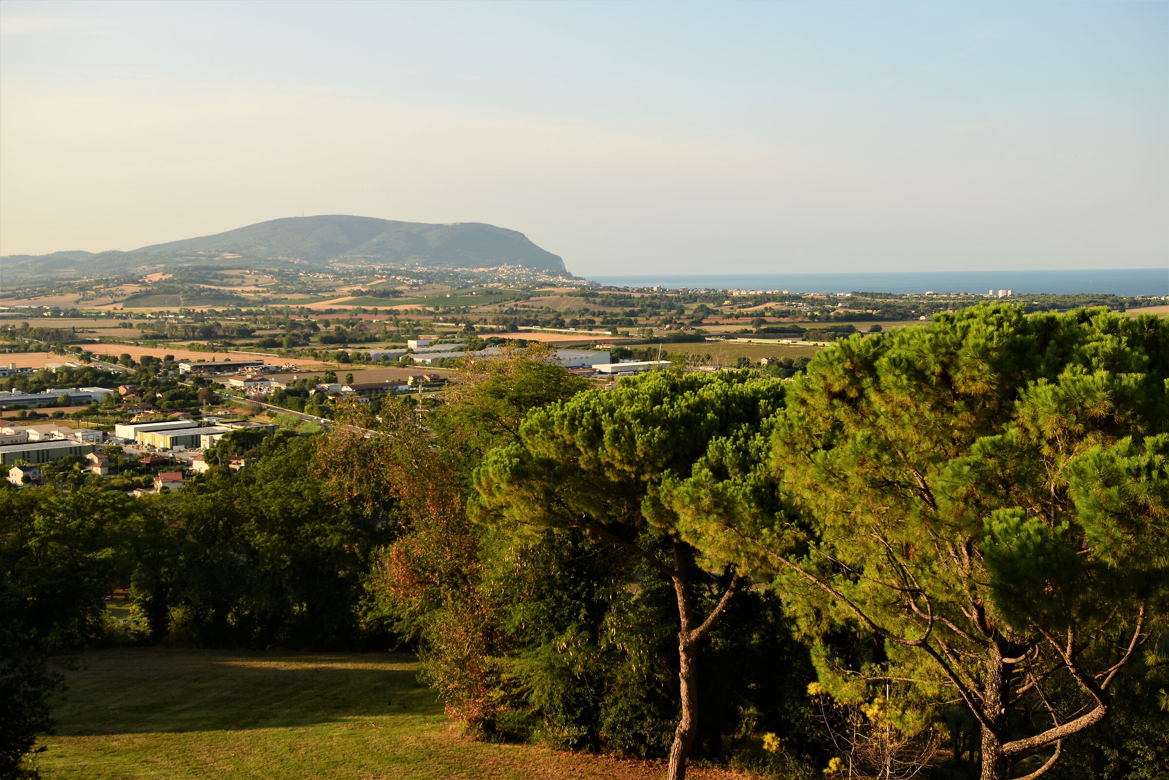View of Monte Conero from Loreto