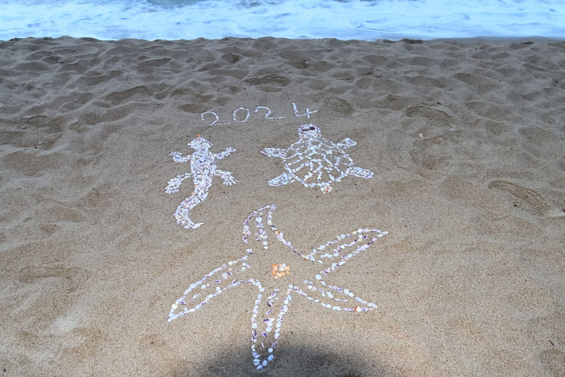 Spiaggia 20-06-2024 - 0713