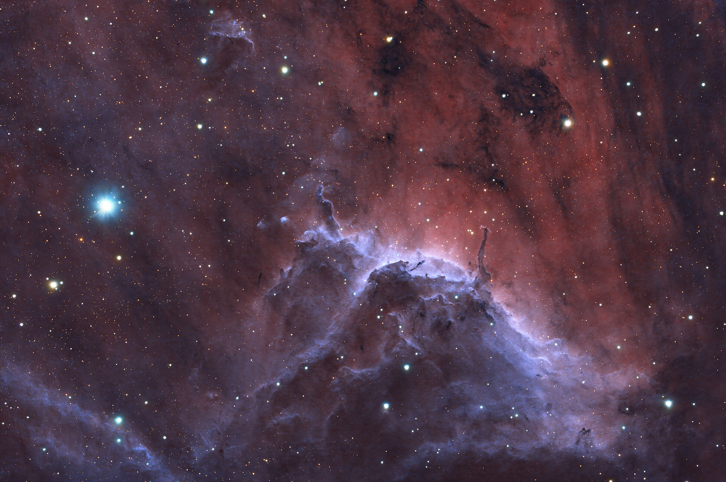Nebulosa Pellicano nella costellazione del Cigno