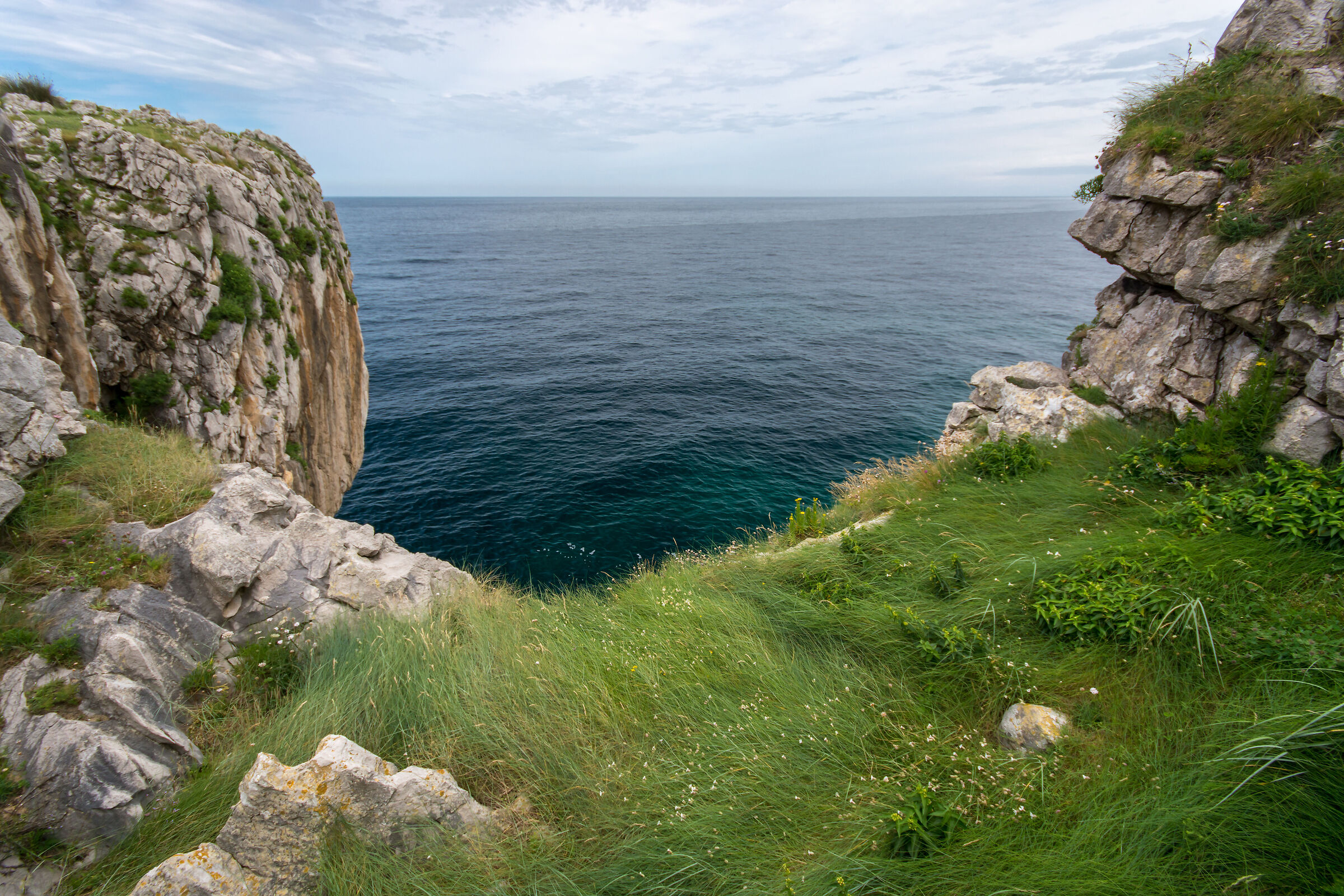 The lawn overlooking the ocean