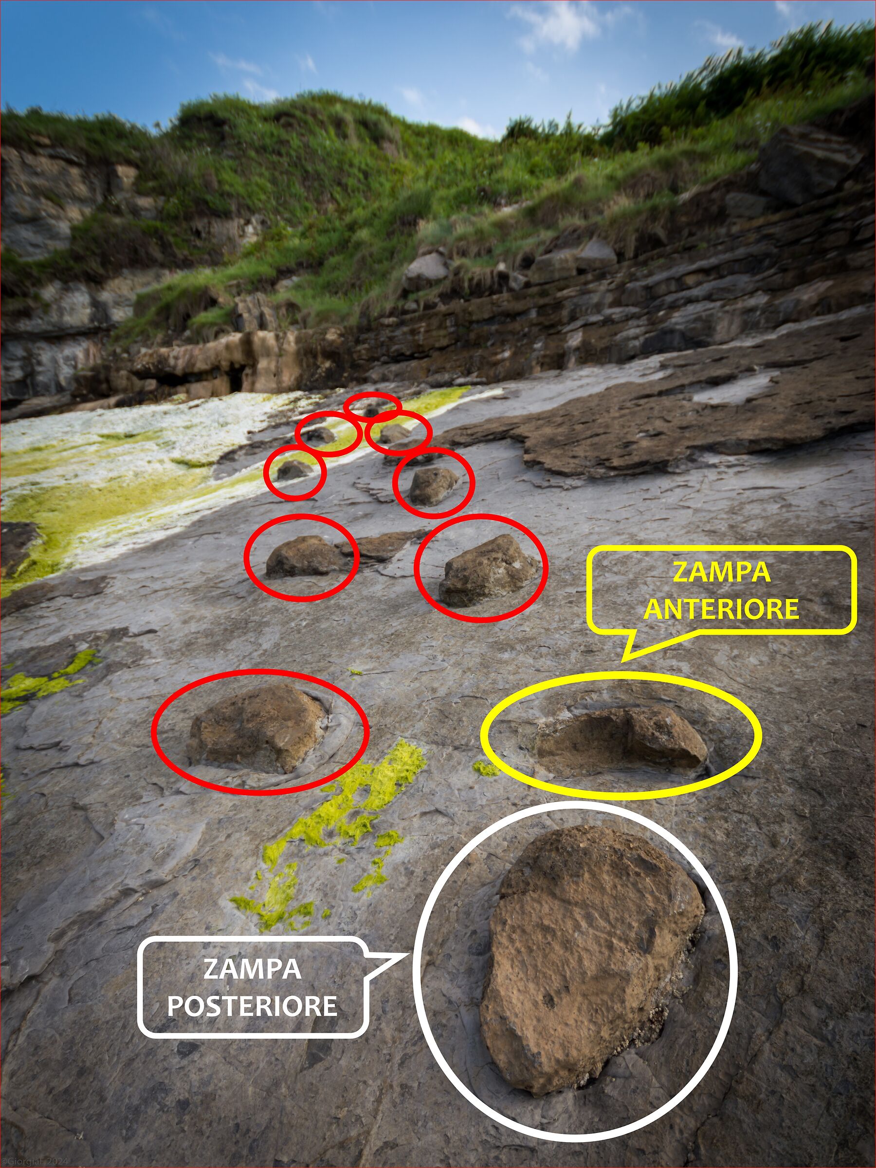 Heavy silent steps - the schemino!