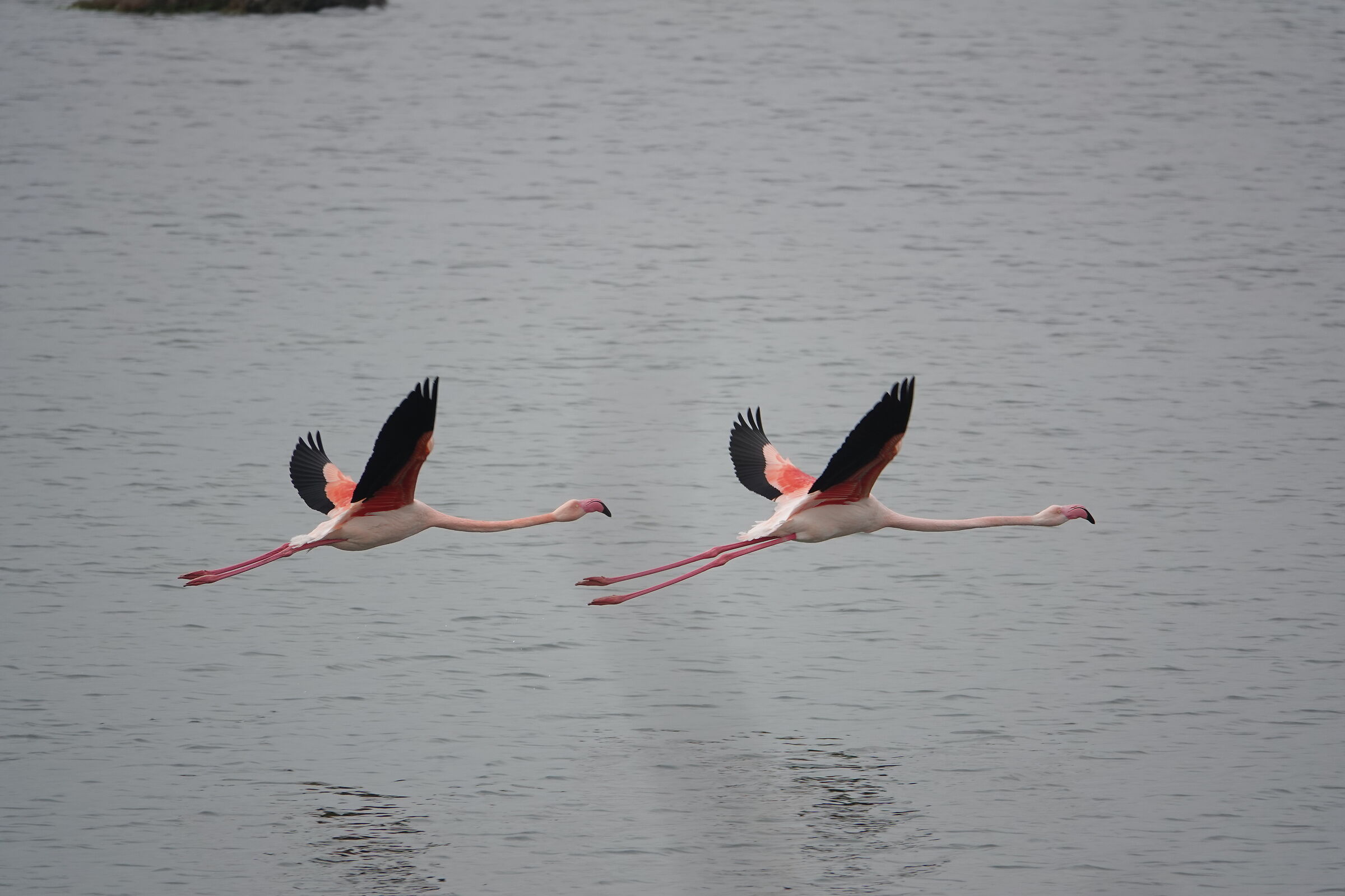 in volo