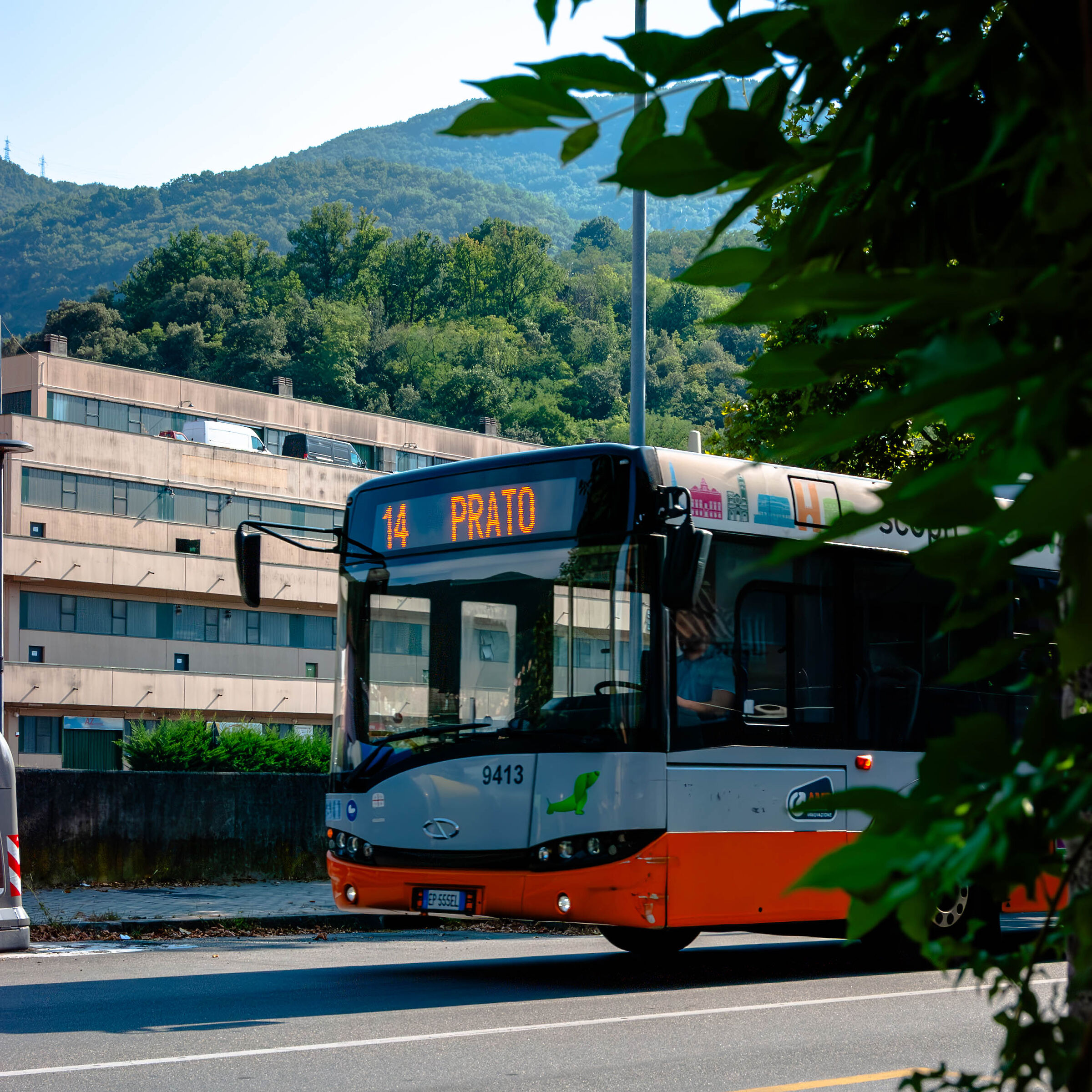 14 - Prato