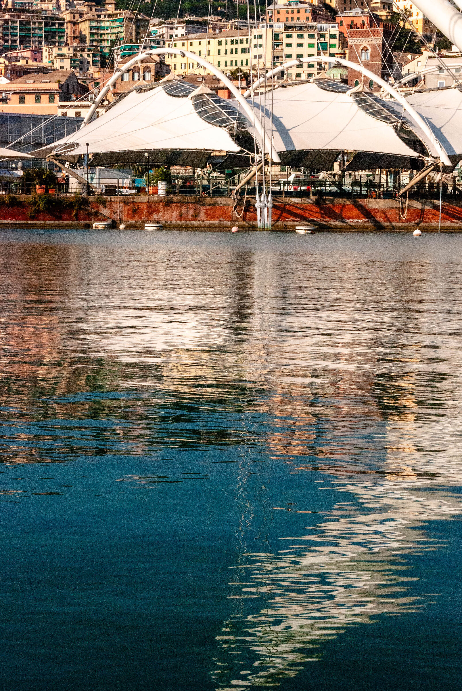 Riflessi di Genova