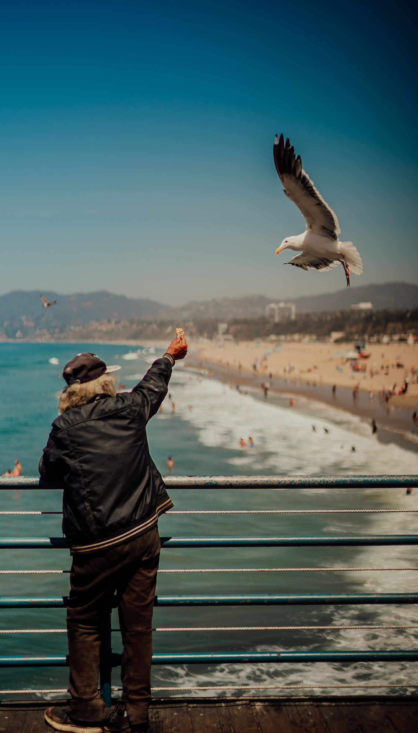 The man who whispered the seagulls