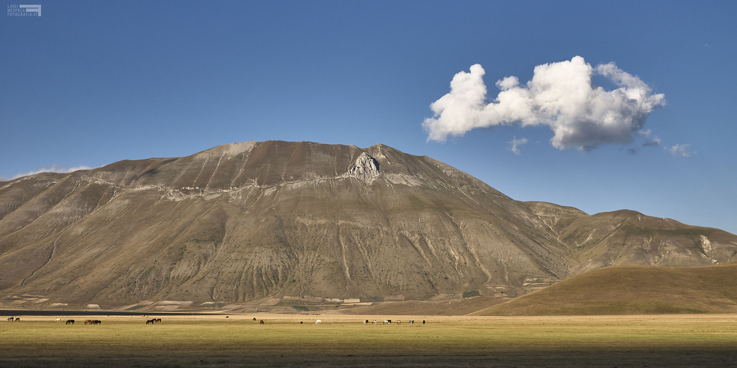 Pian Grande di Castelluccio e il Monte Redentore