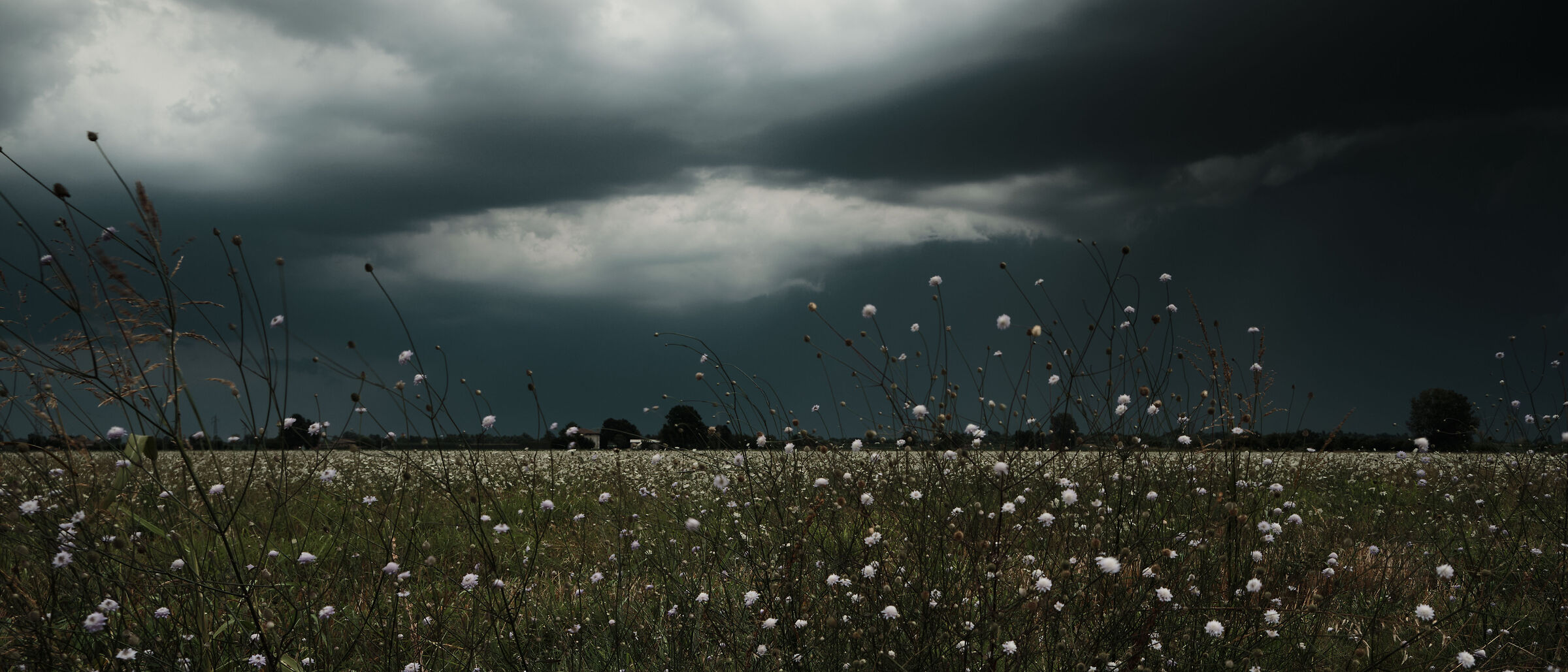 Wednesday 7 August 2024