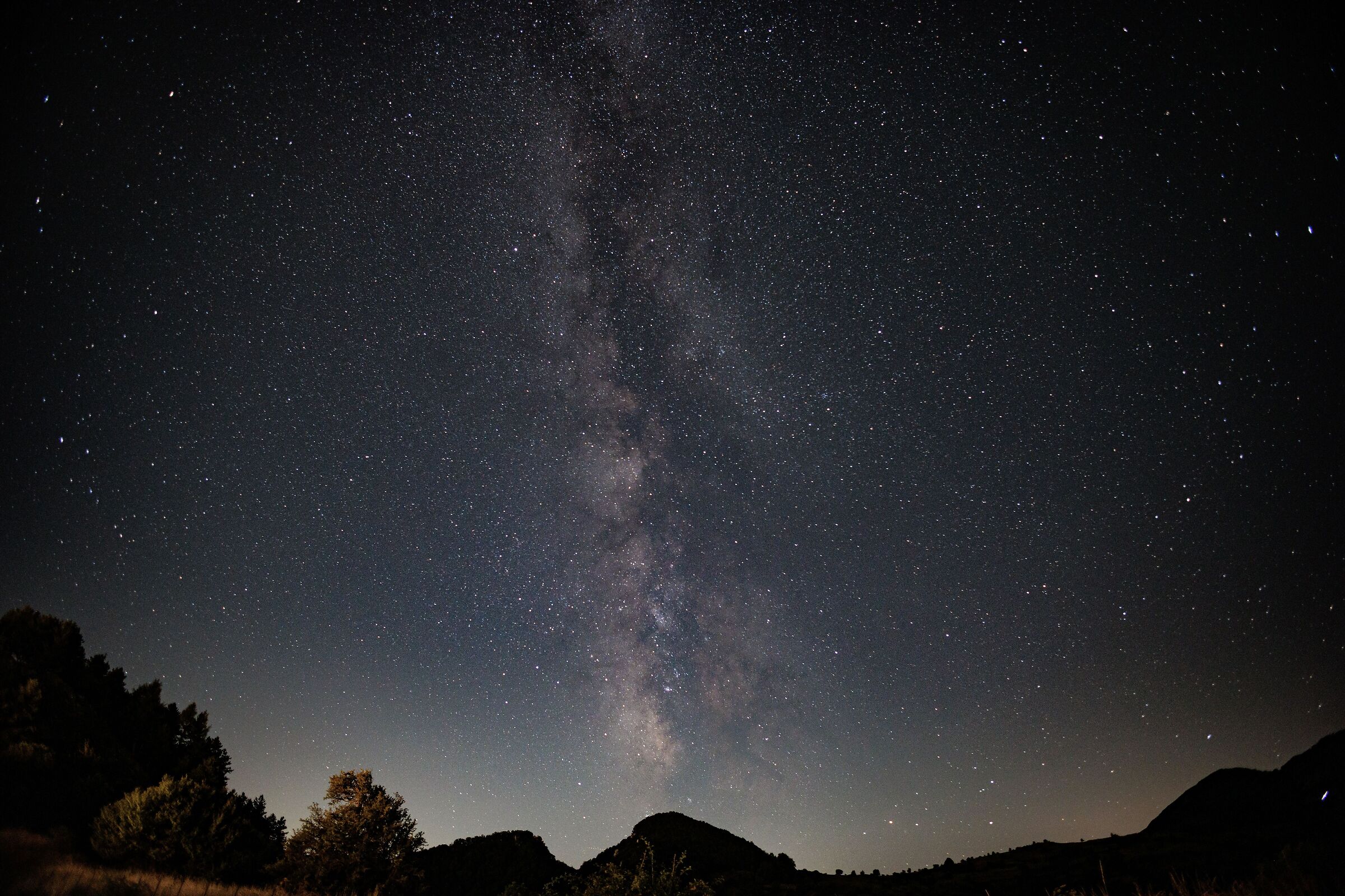 Untitled Photo