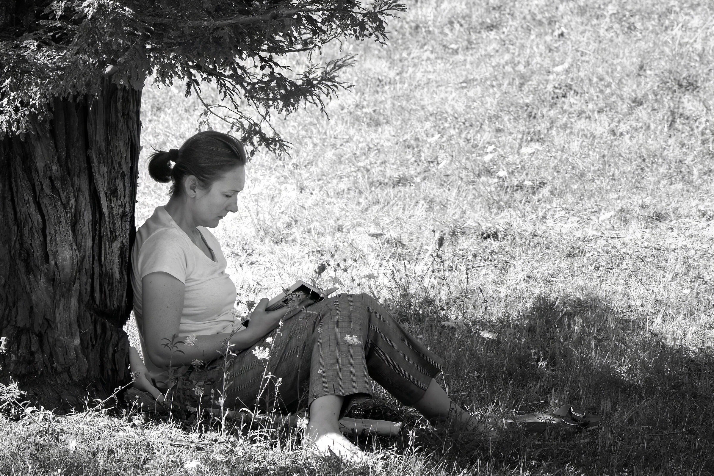 Attimi di tranquillità