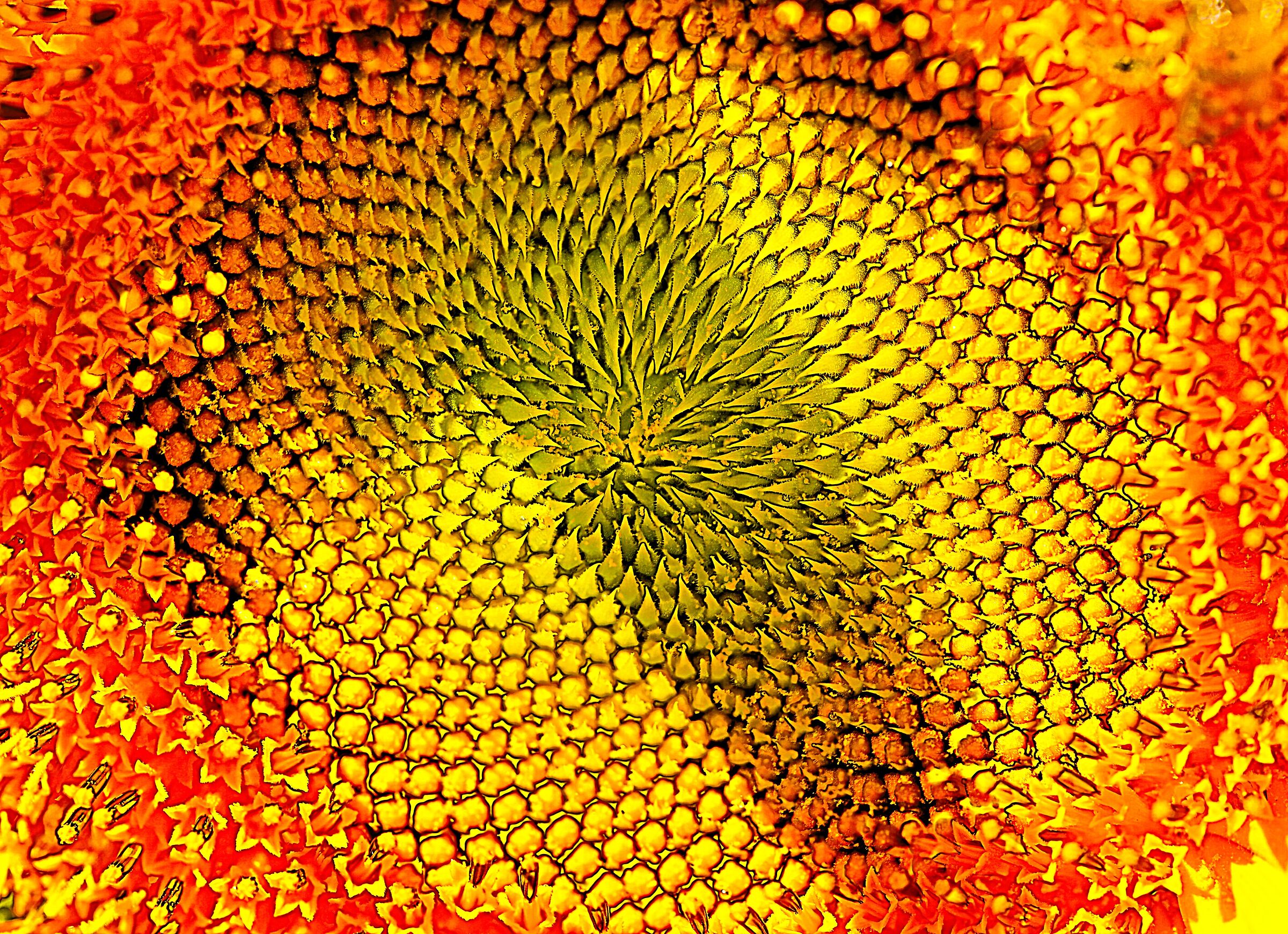 PSYCHEDELIC