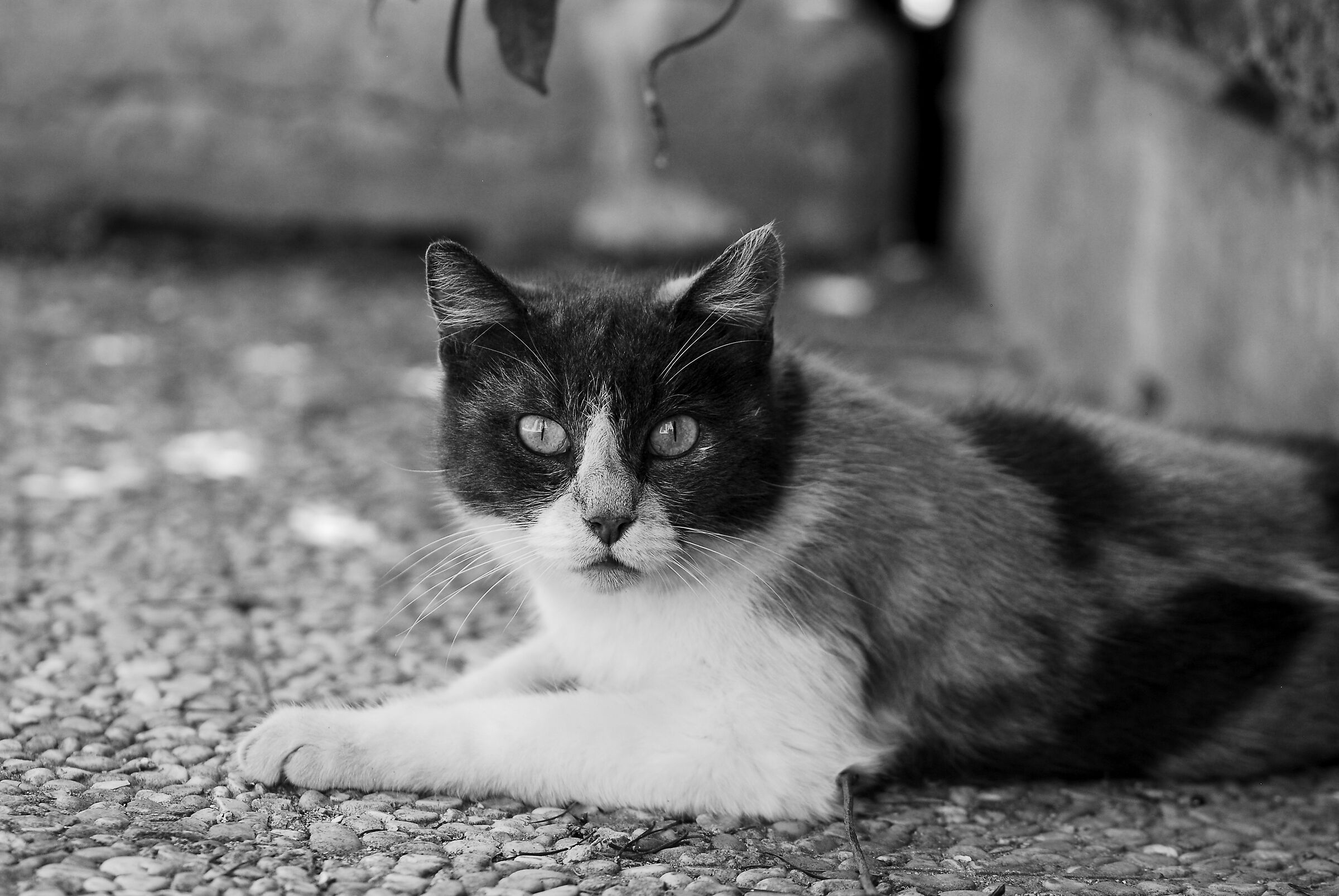 Untitled Photo