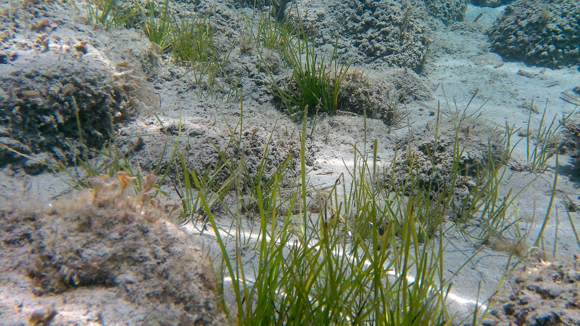Zante. Seabed