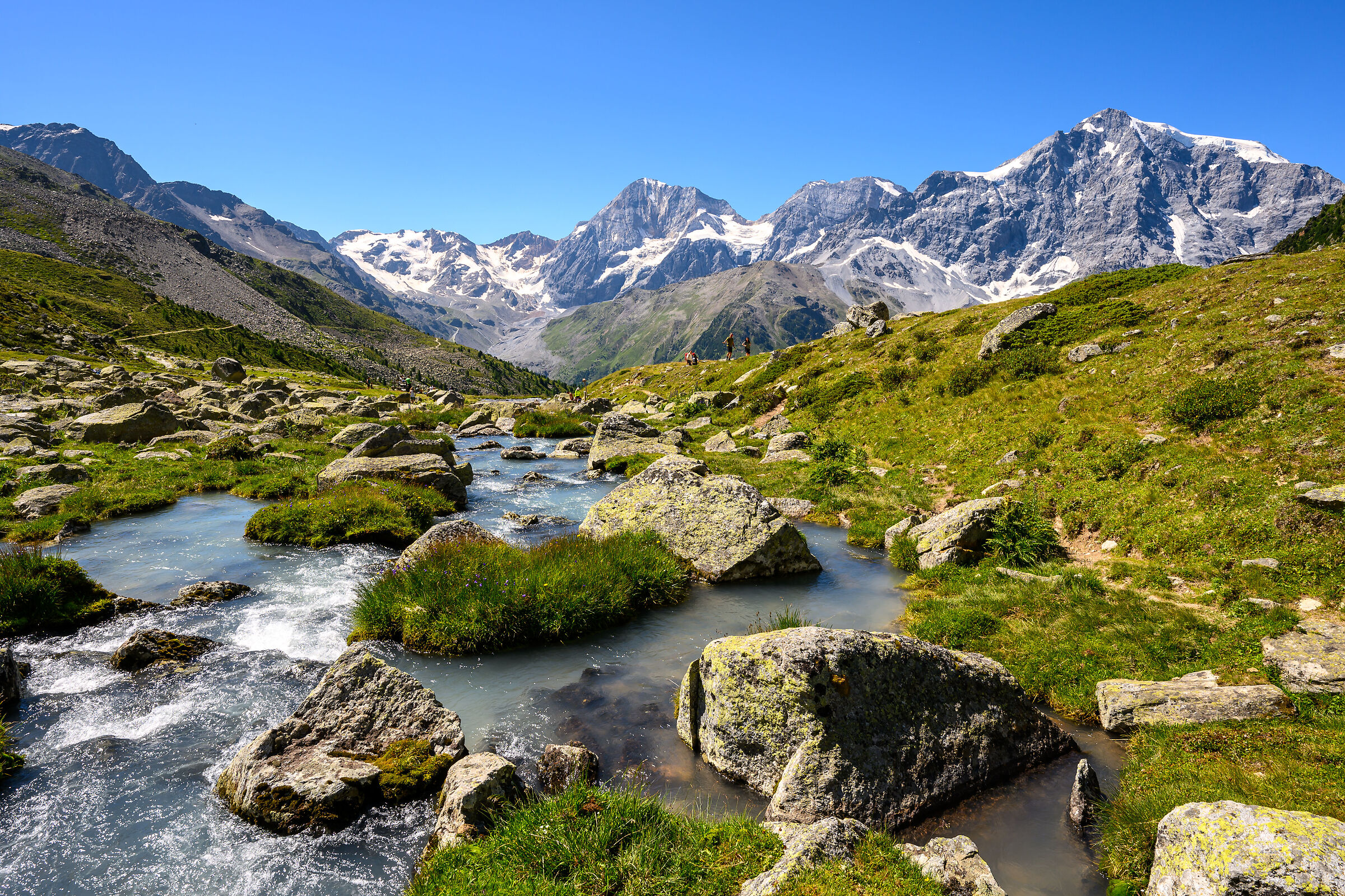 Rhaetian Alps - Gran Zebrù / Zebrù / Ortles