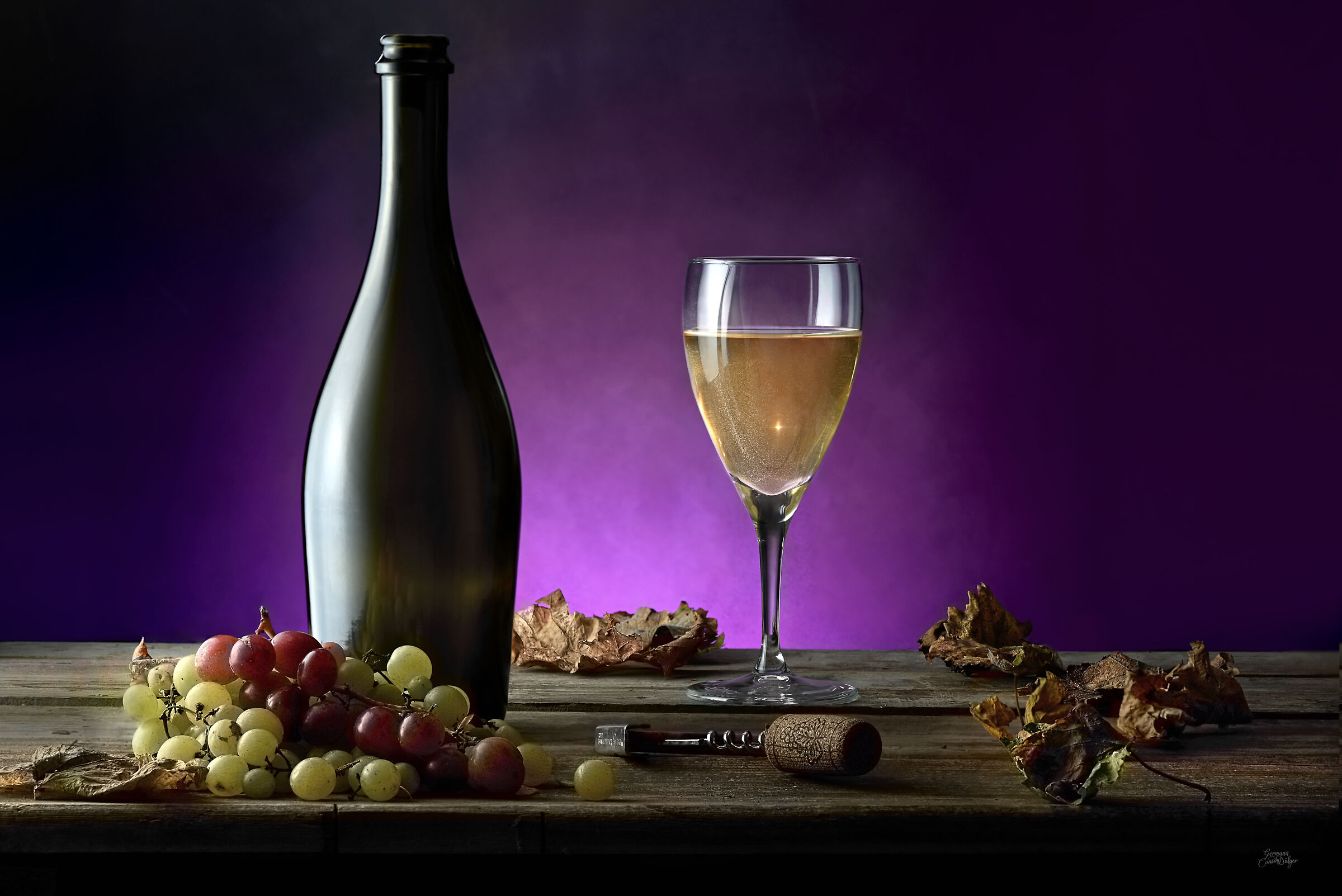 Still life in purple