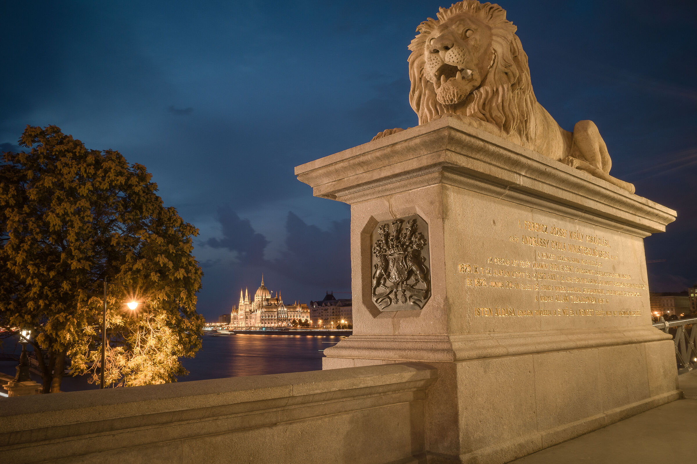 Il leone del ponte delle catene Budapest