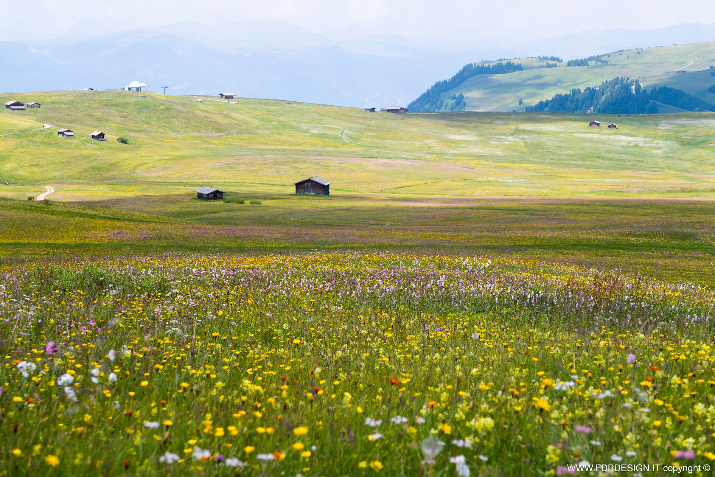 Alpe di Siusi