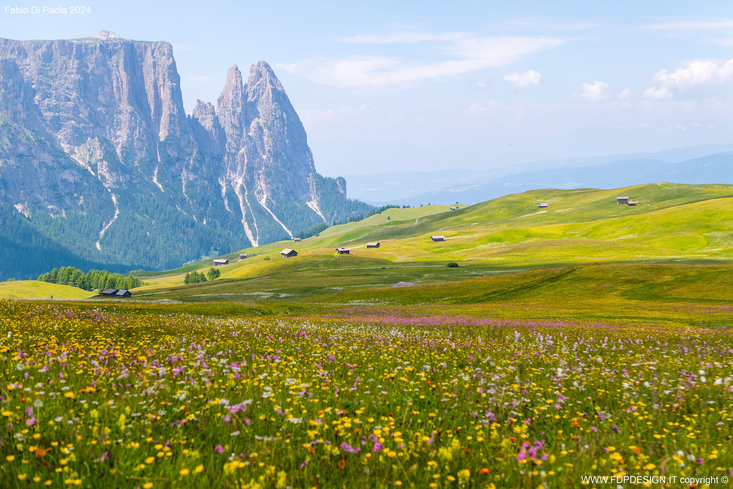 Sciliare e fiori
