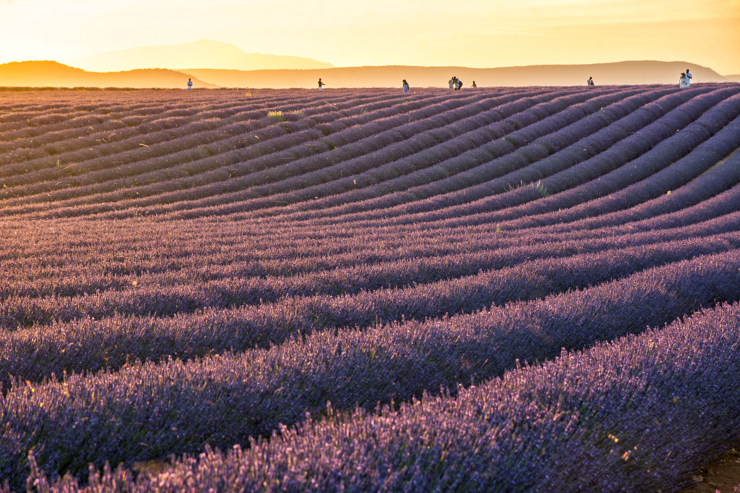 Sul limitare del campo