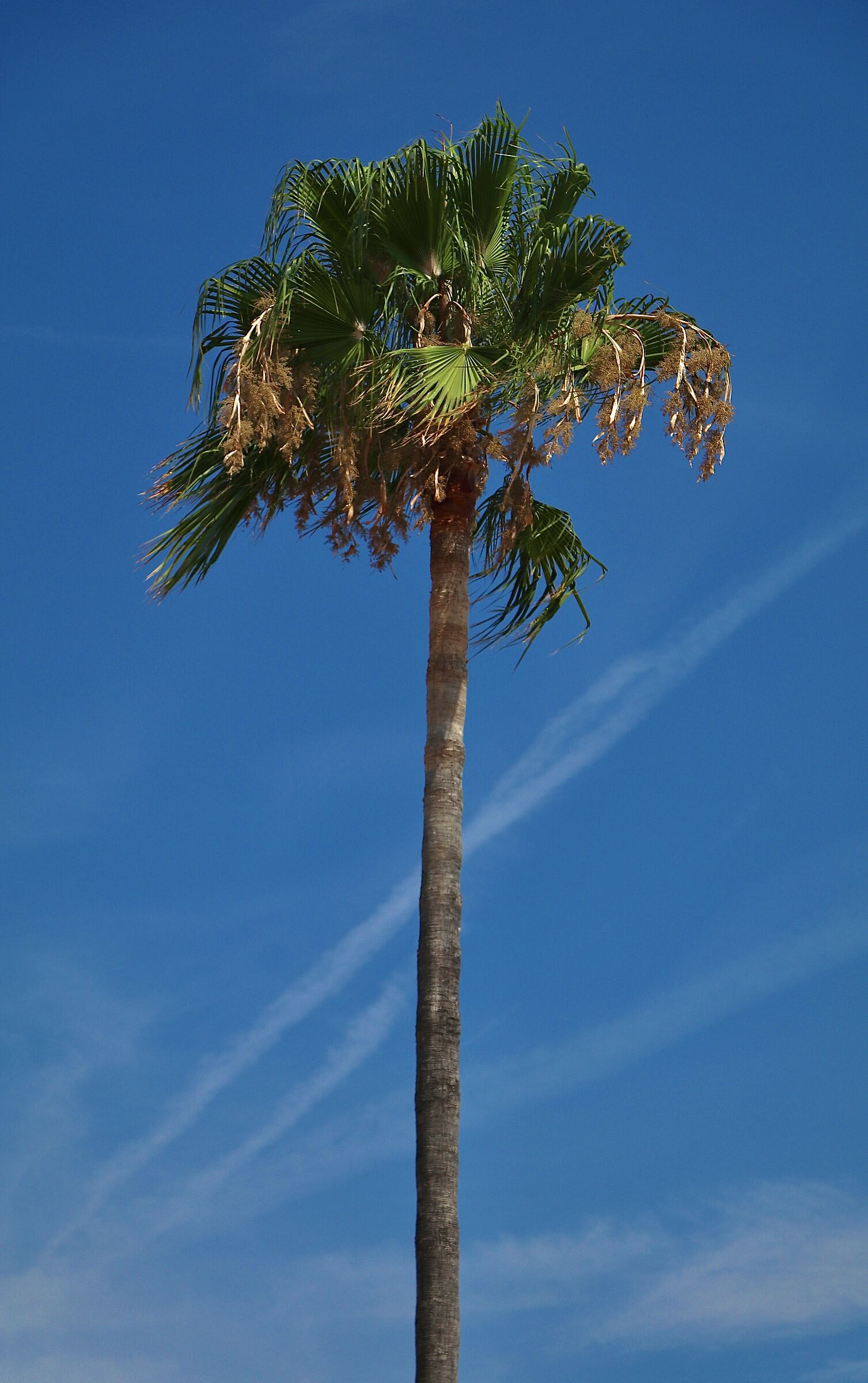 Untitled Photo