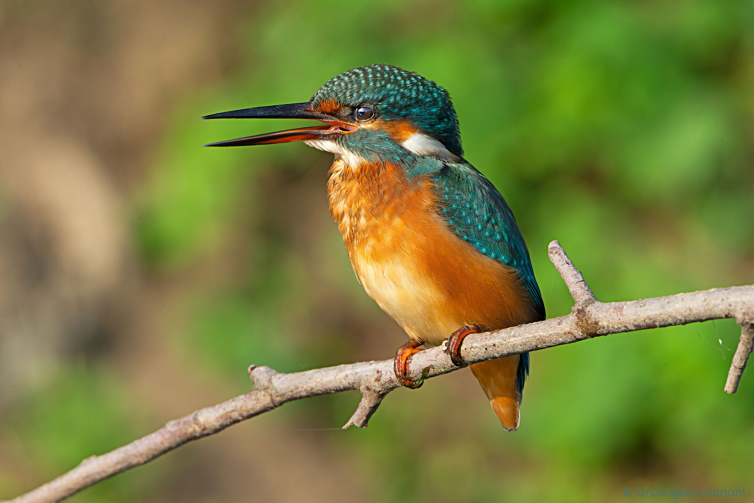 Una martina a ferragosto
