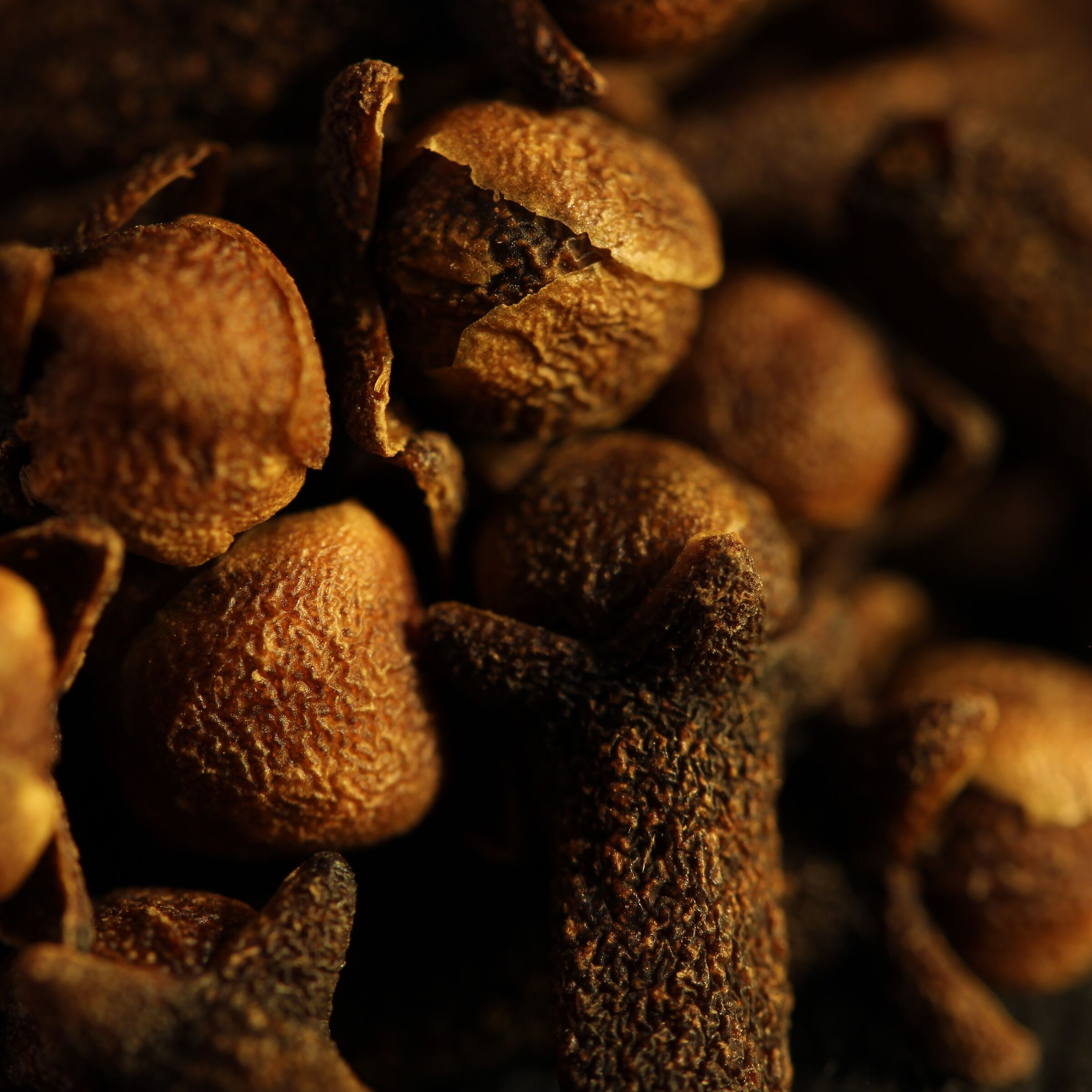 Cloves