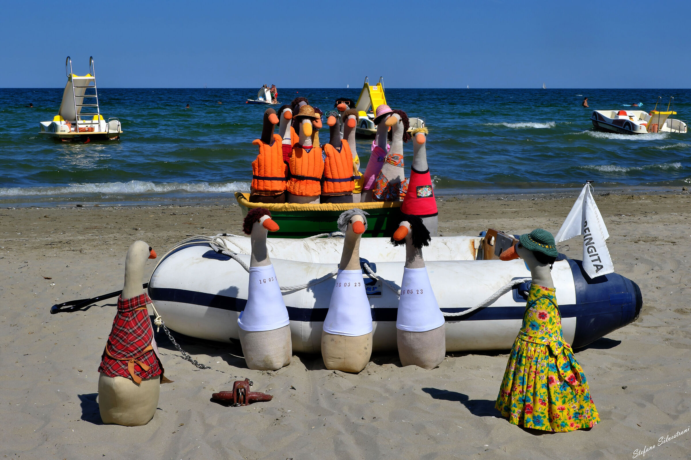 A new mission for the Ducks