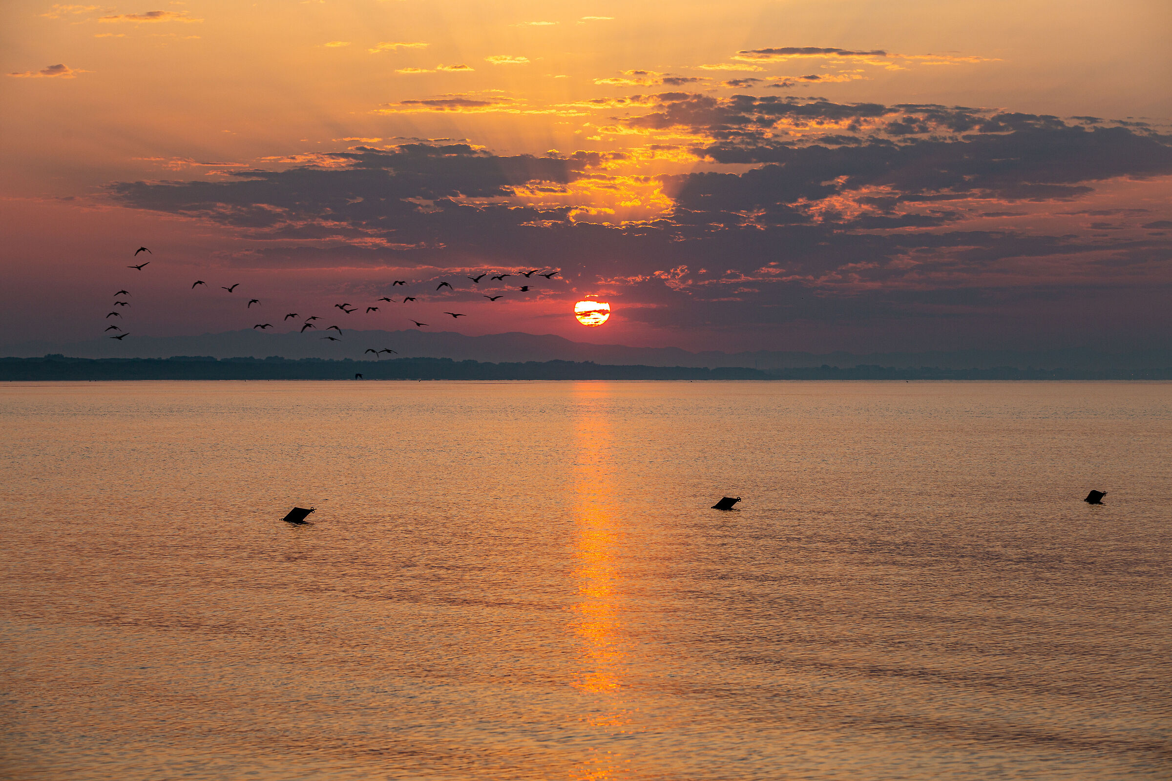 L'albeggiare verso la laguna.