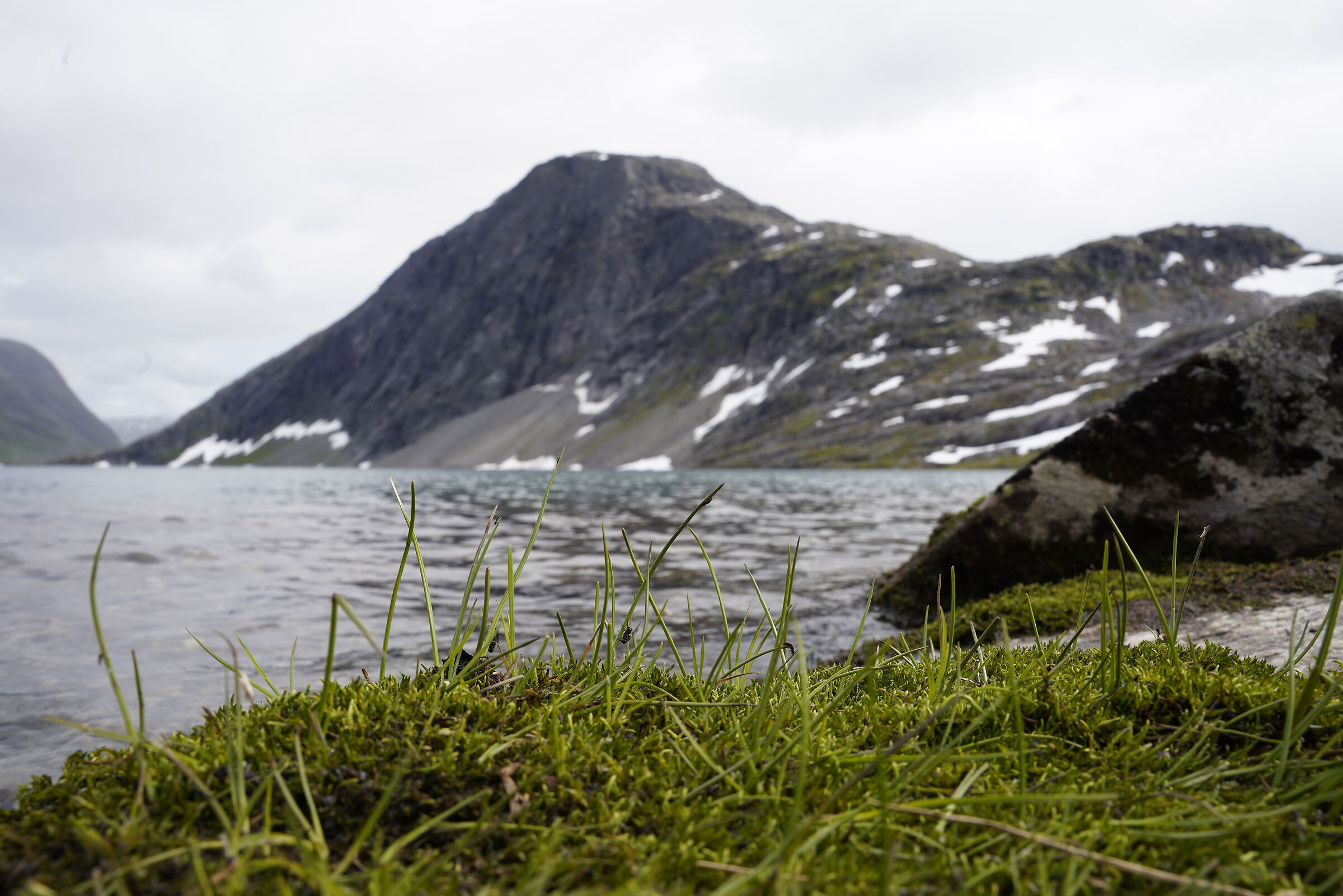 ..trova l'insetto! Geiranger. Lago Djupvatnet