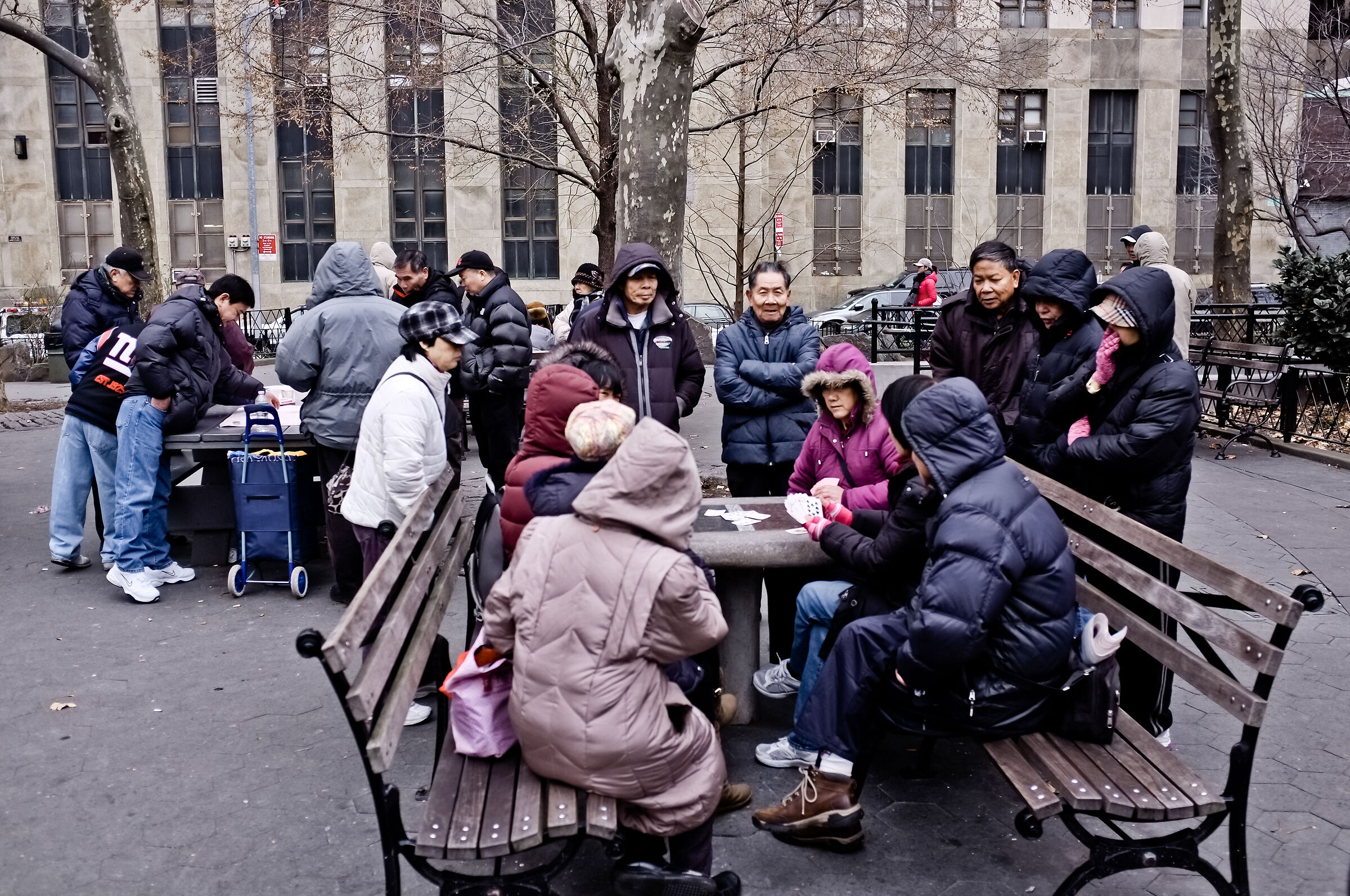 Playing Cards in China Town - New York