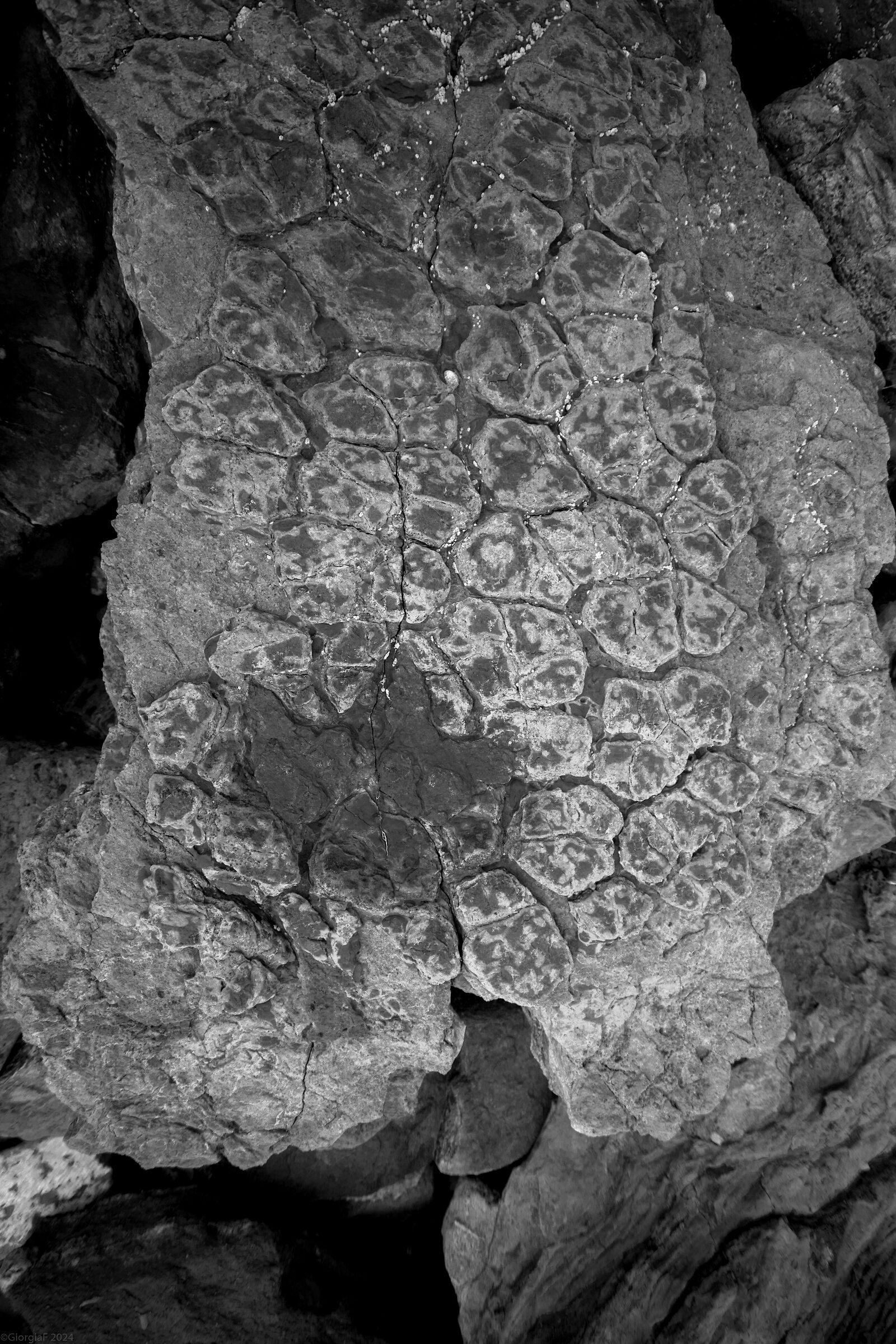 Footprints in the mud