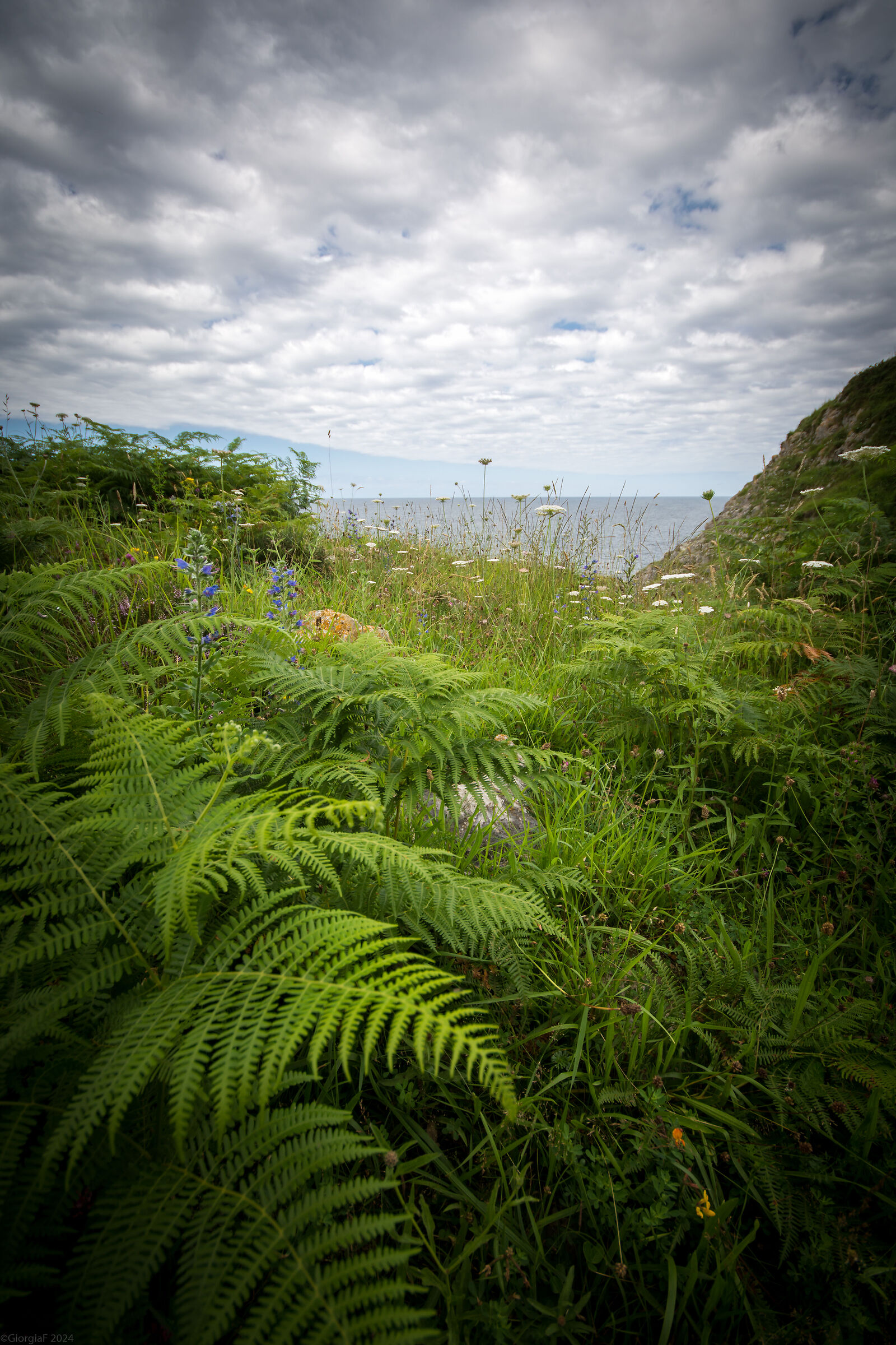 Walking in the Jurassic