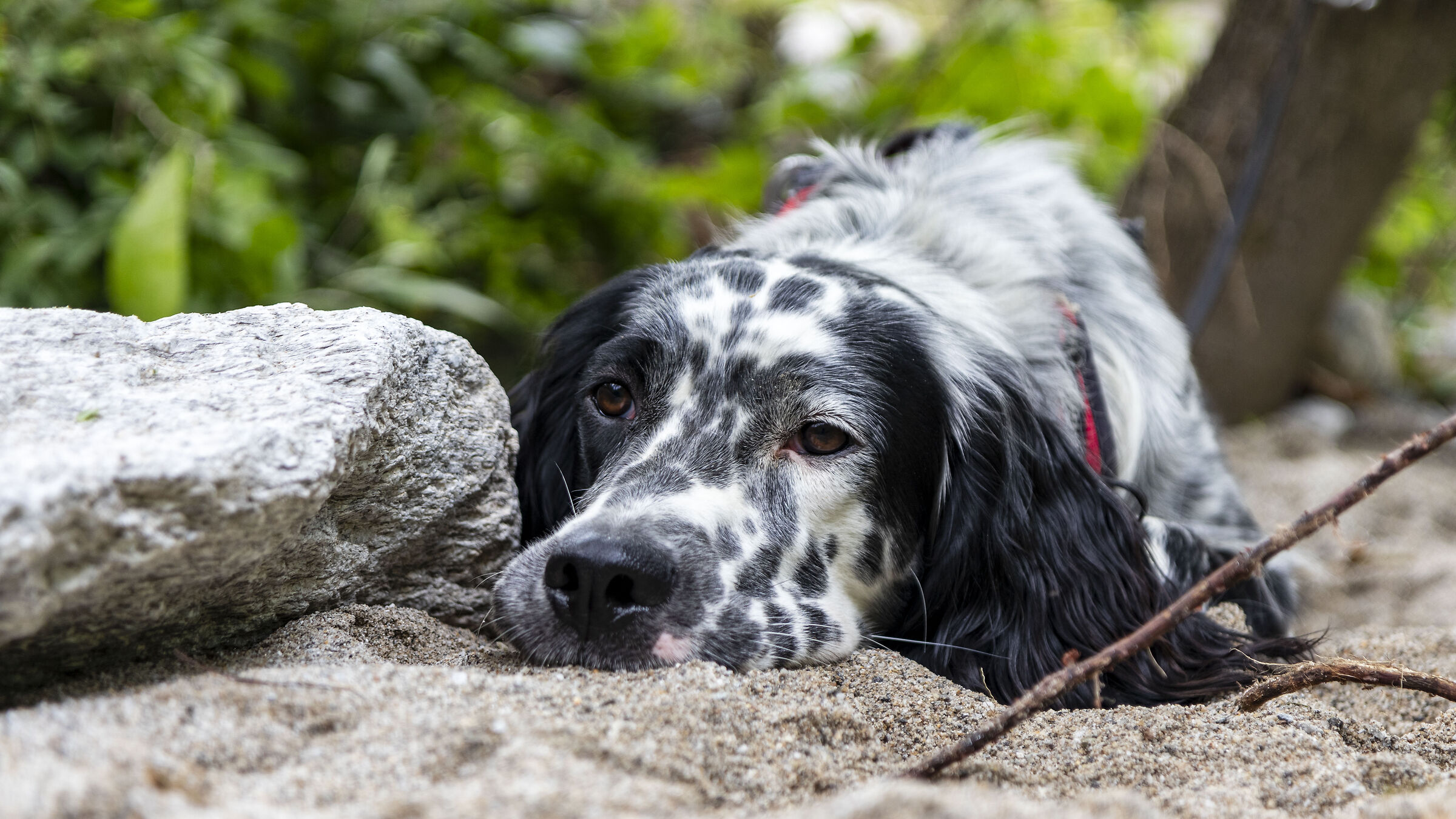 Il riposo del guerriero