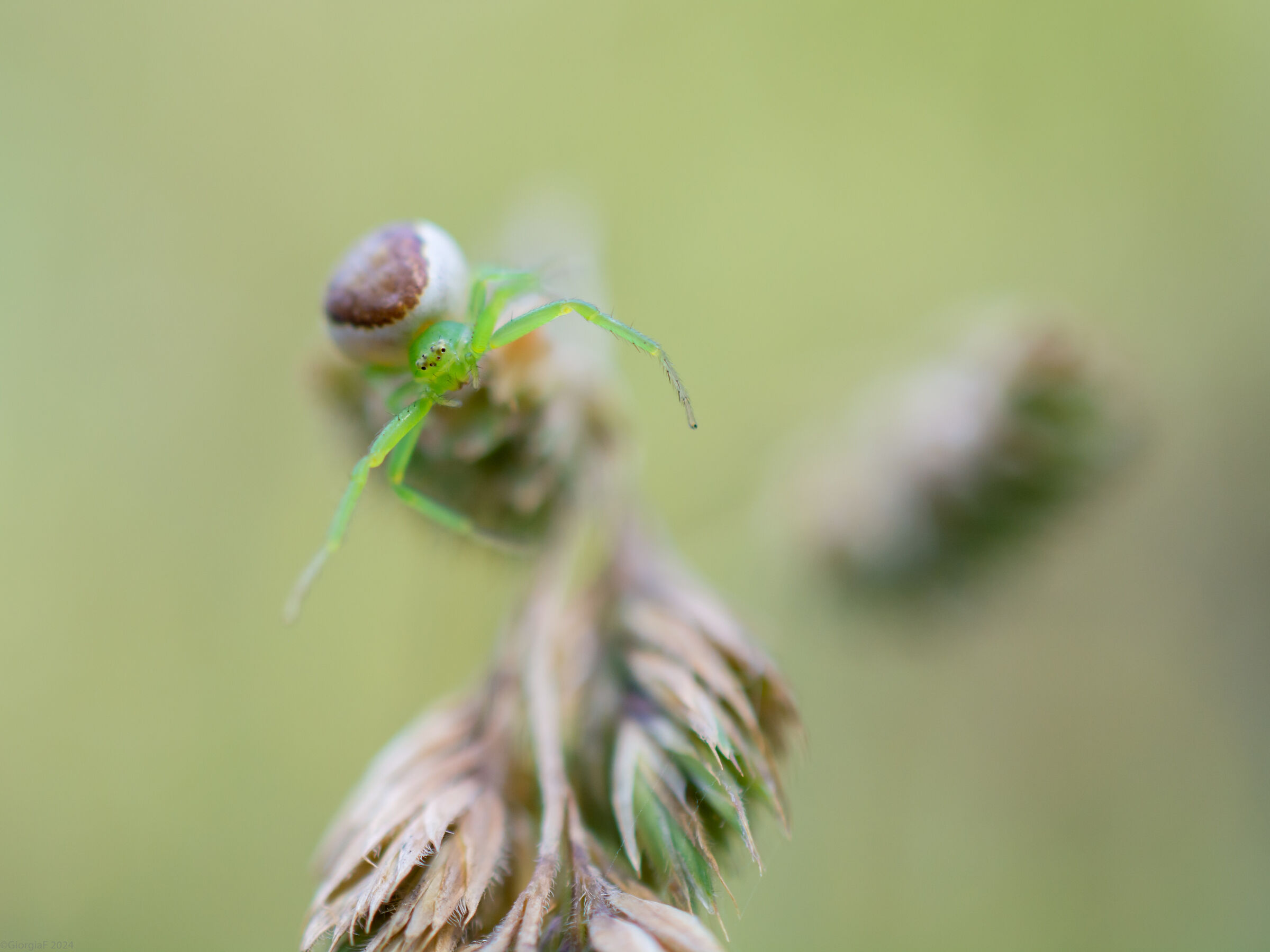 Untitled Photo