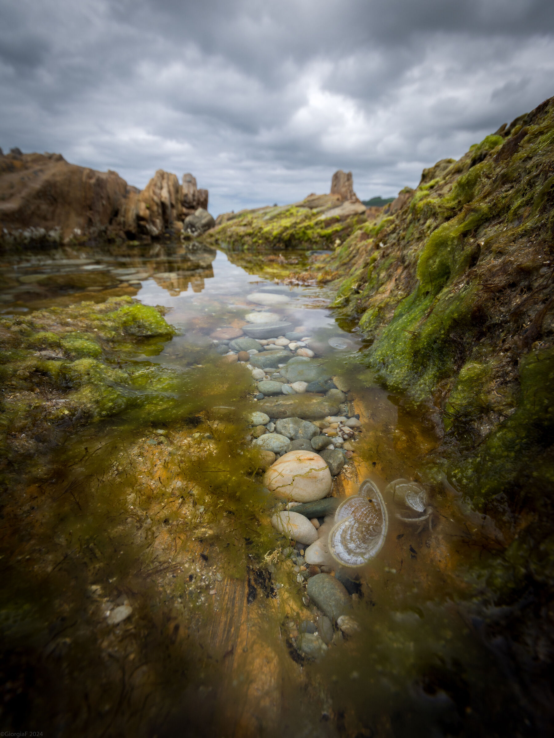 La Terra 500 milioni di anni fa