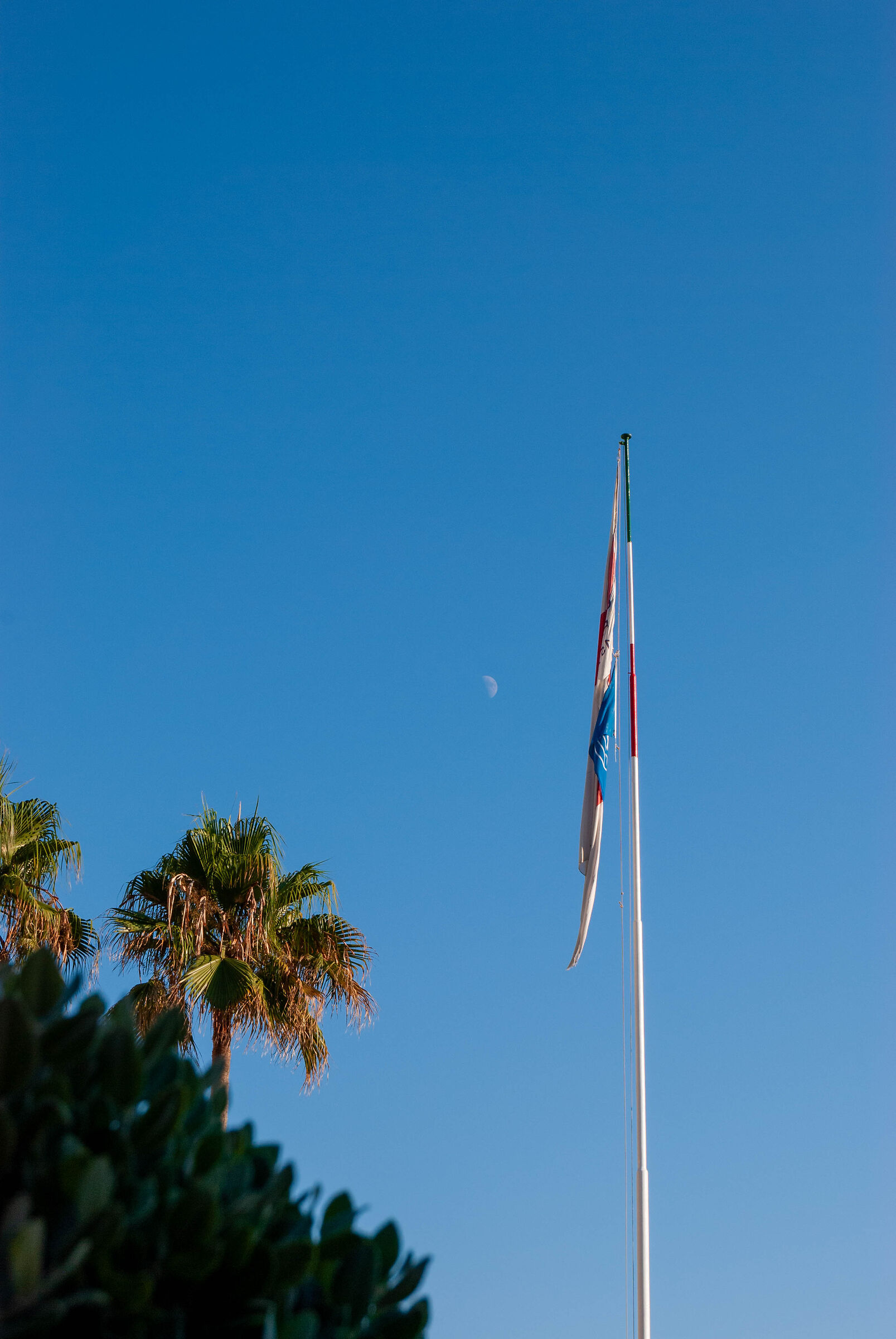 Cielo di Recco