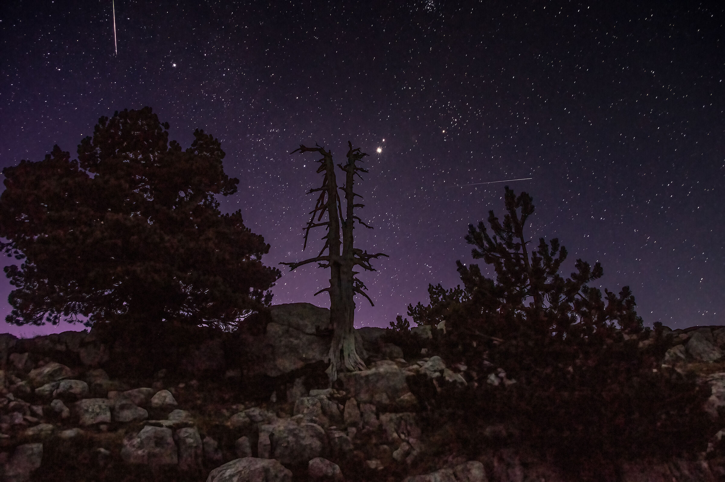 Night of San Lorenzo on Monte Pollino