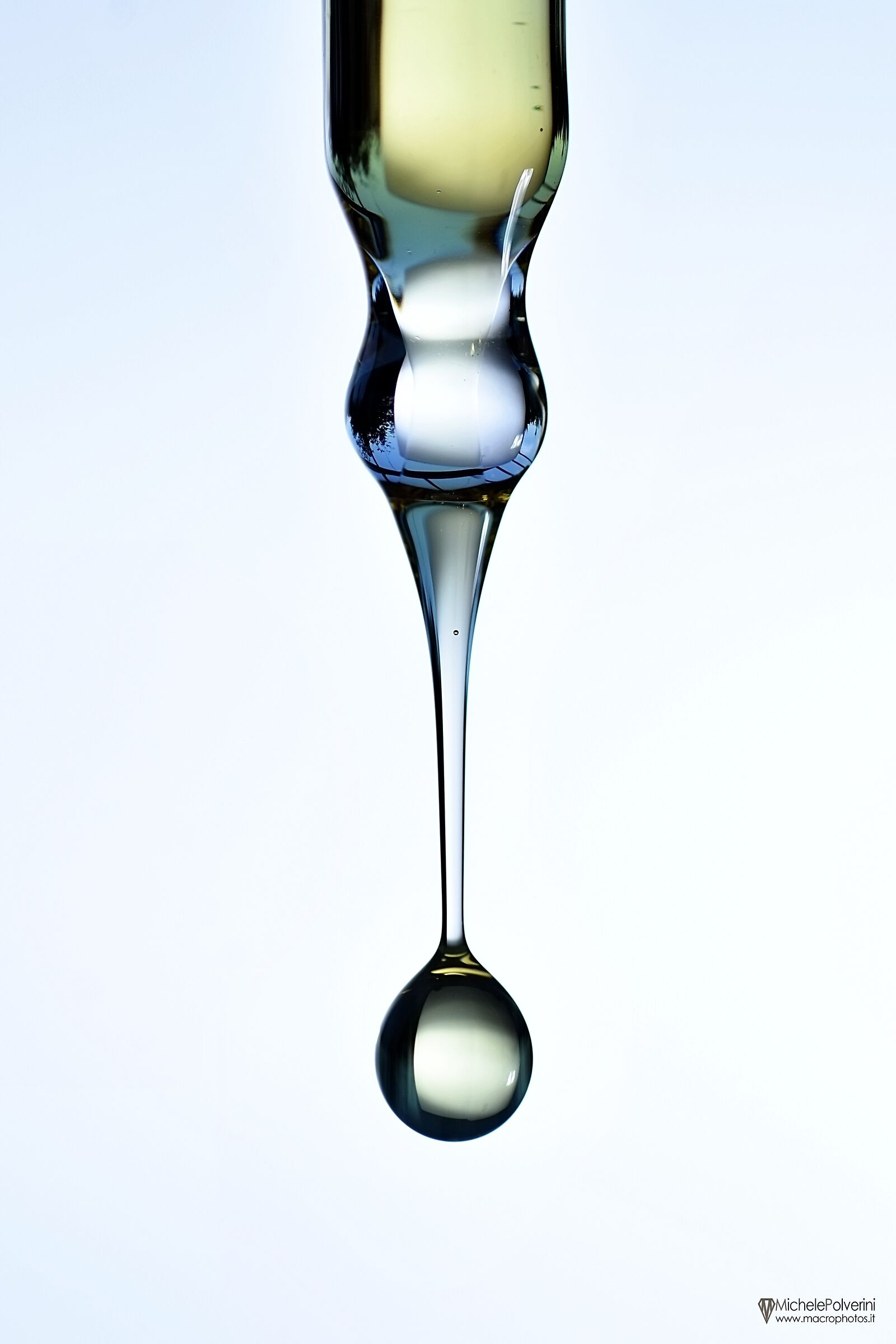 Olio di Avogado 14 luglio 2024