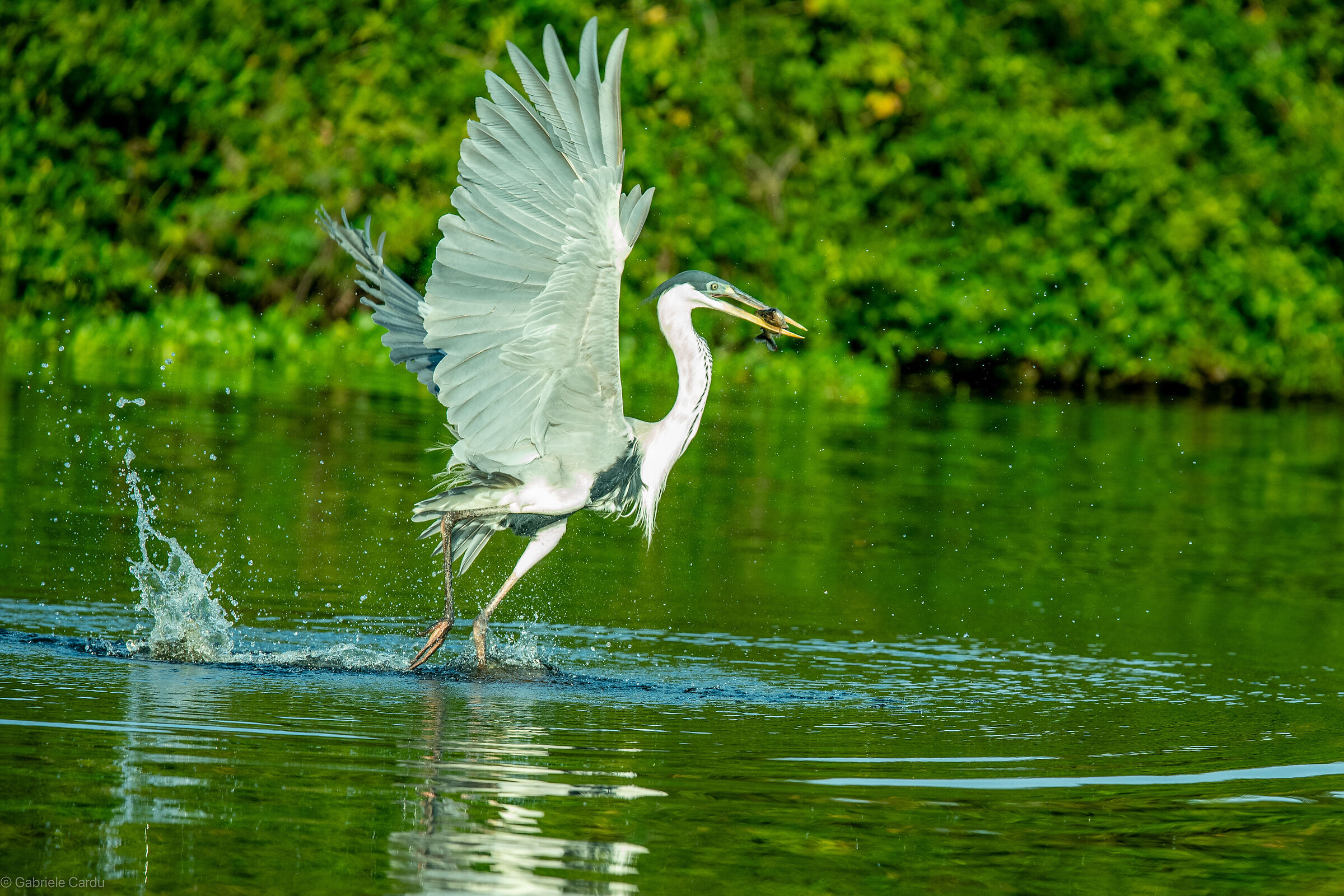 Dancing on the waters