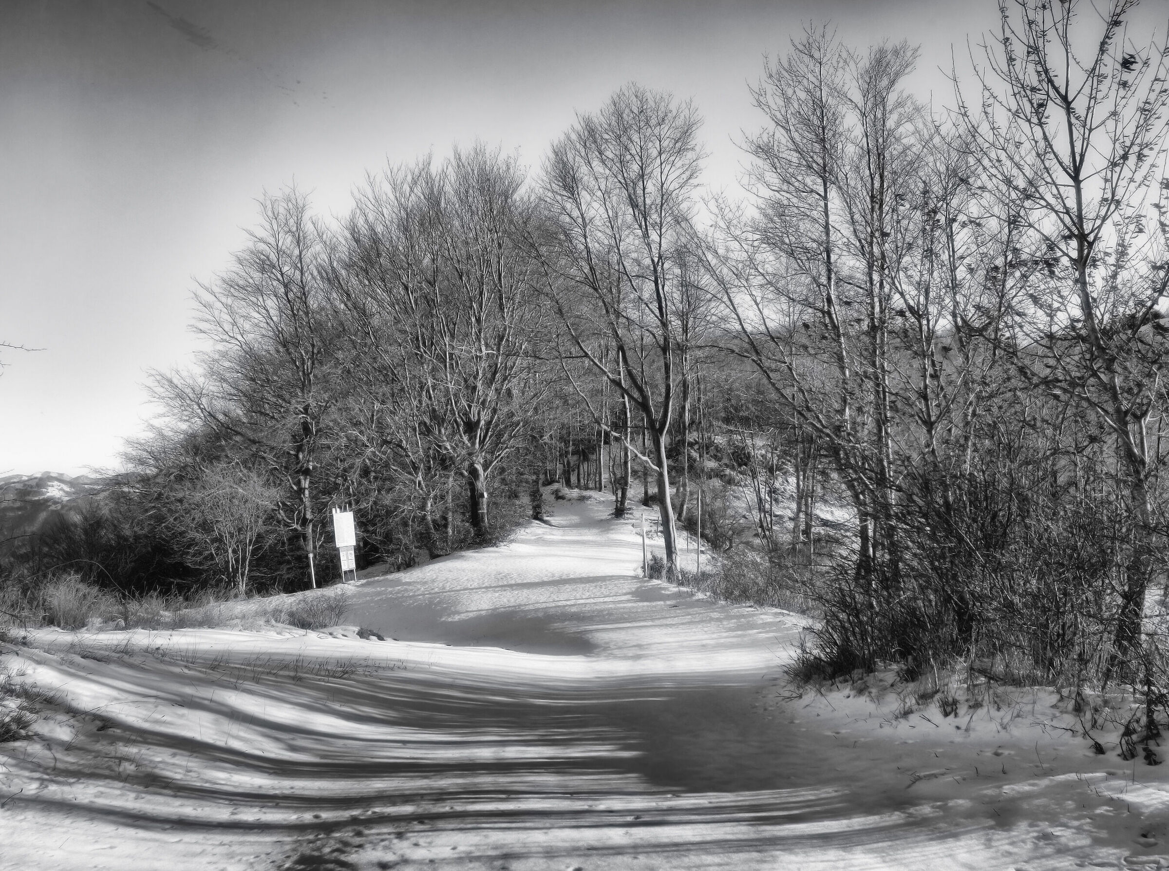 Winter Landscape