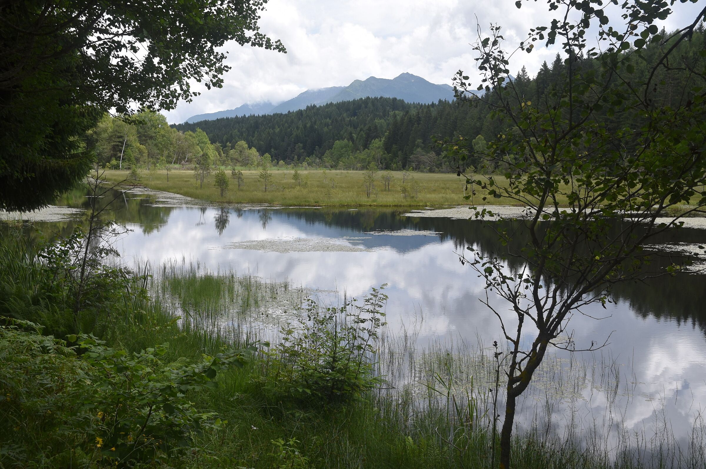 Pian del Gembro - Aprica