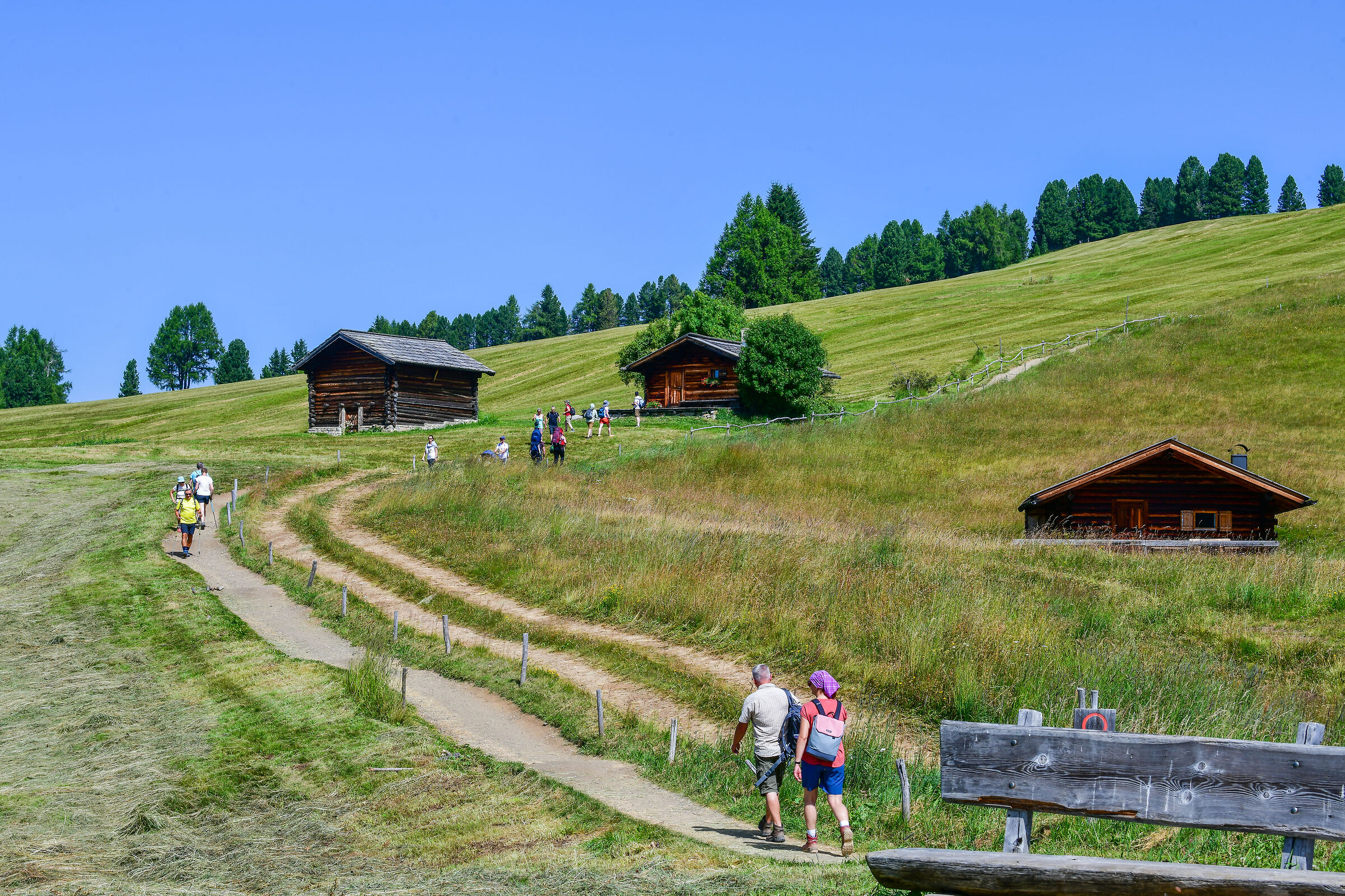 Sentiero sull'Alpe di Siusi in Val Gardena