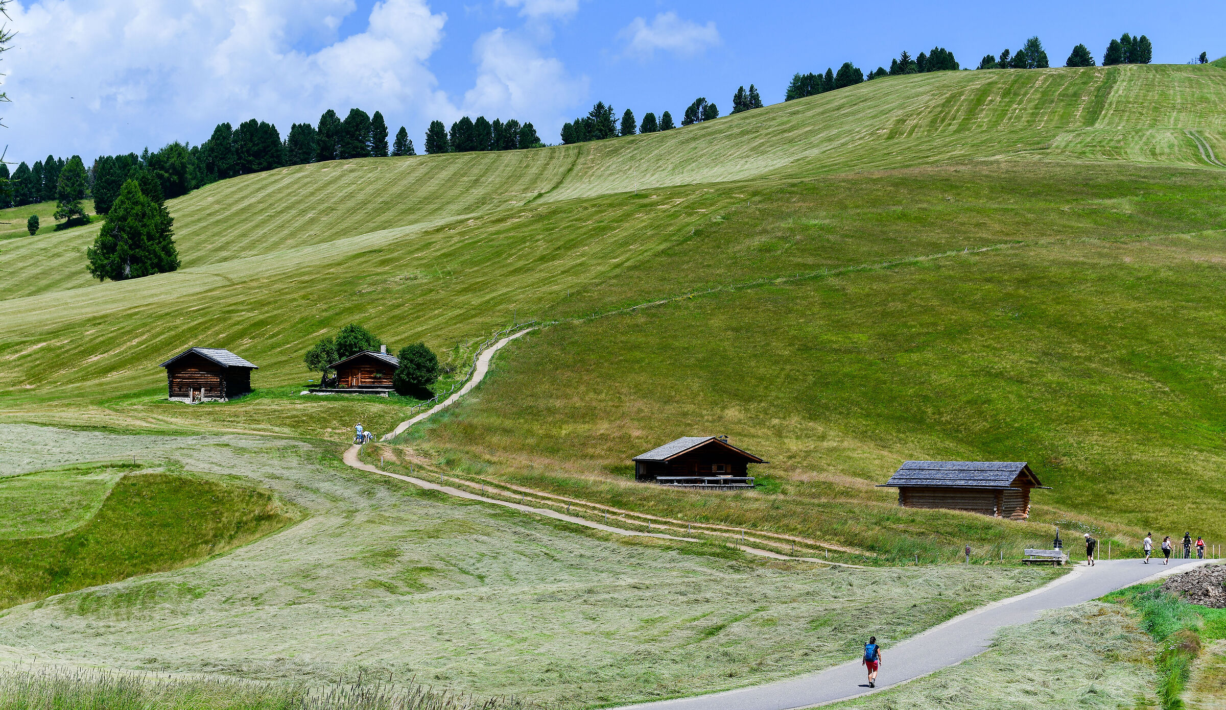 Veduta dell'Alpe di Siusi in Val Gardena