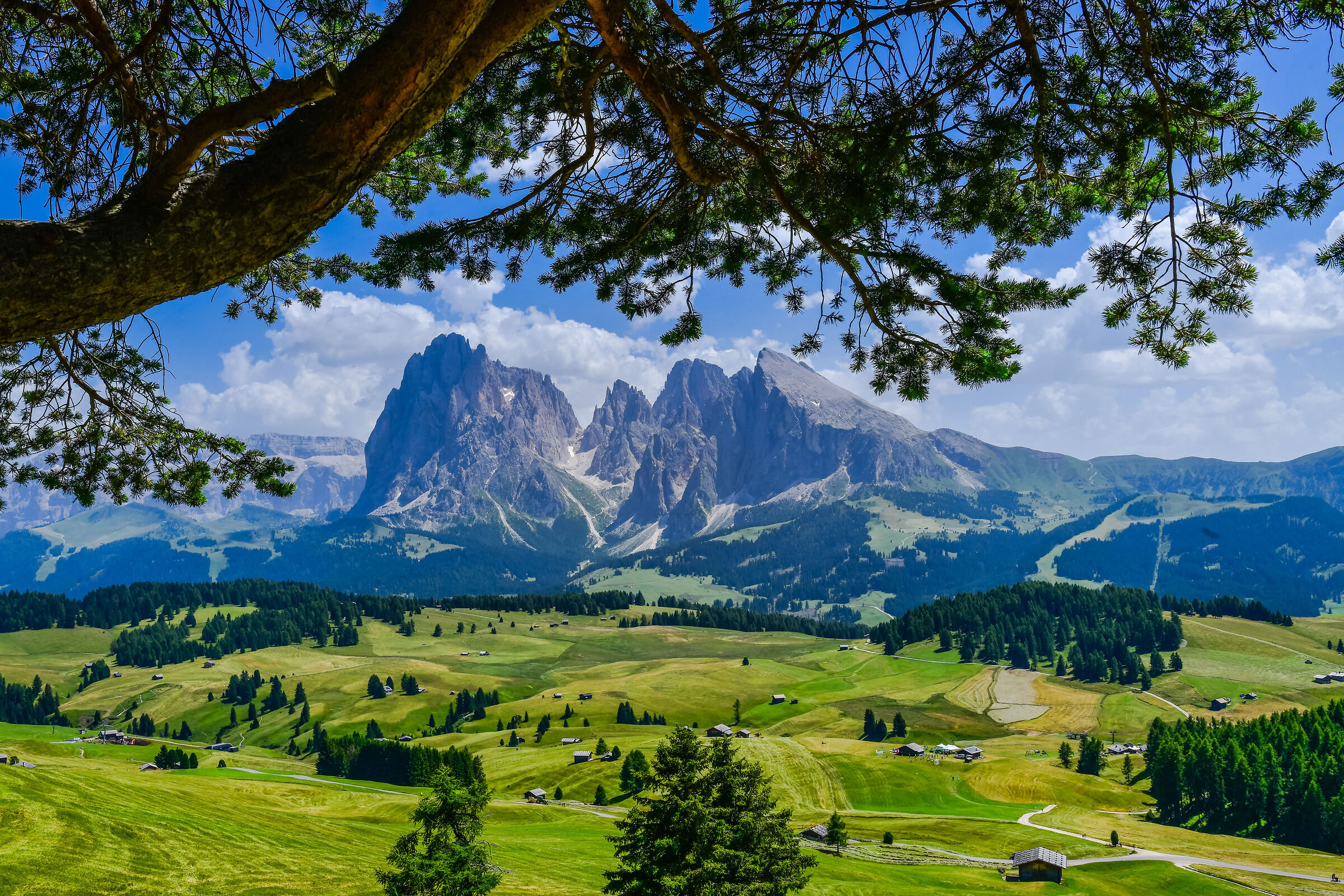 Sasso Lungo e Sasso Piatto sull'Alpe di Siusi