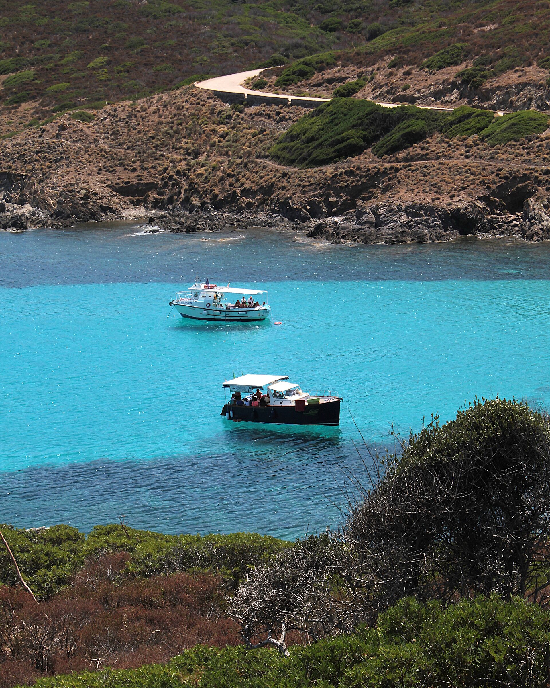 view of the Asinara National Park