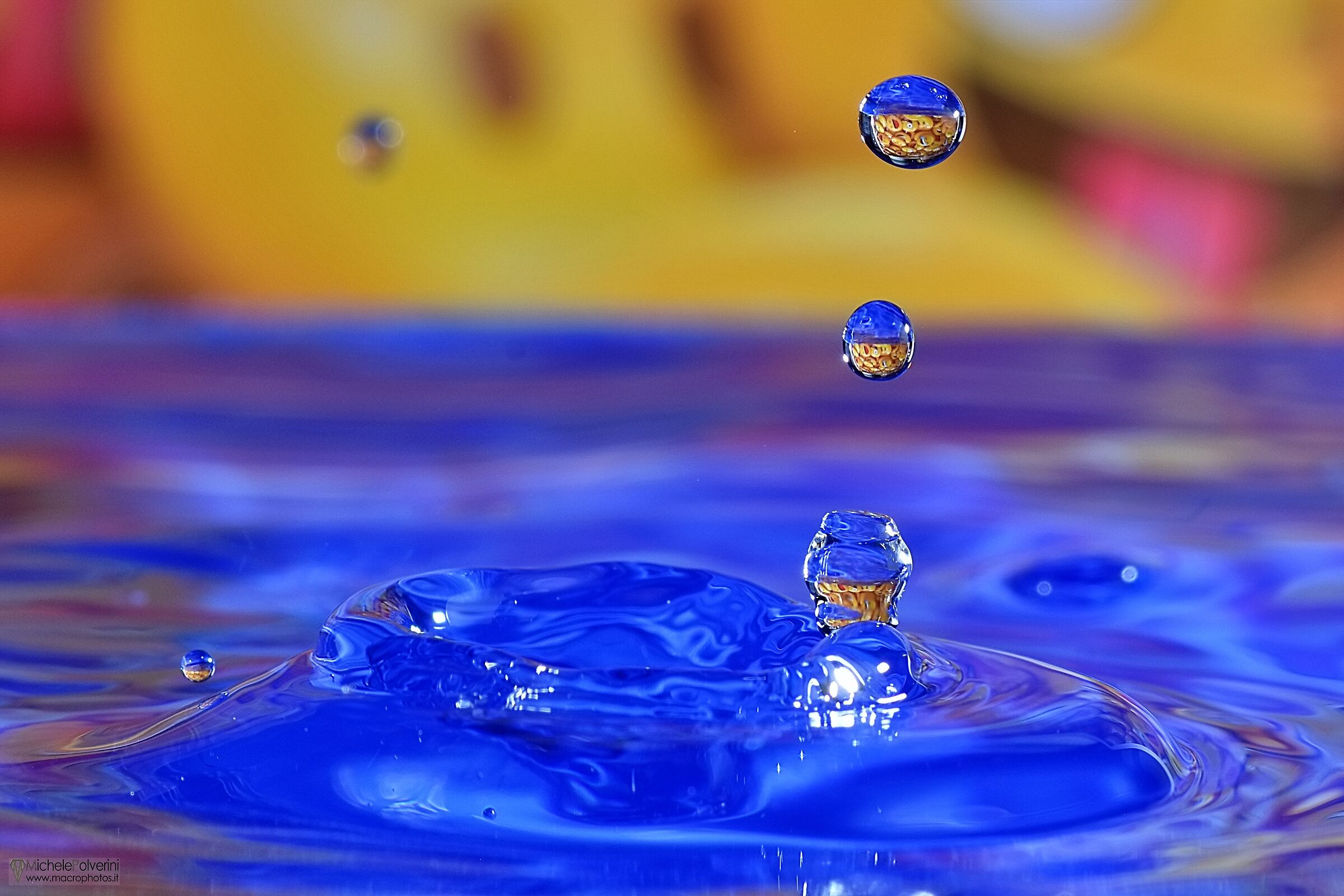 Drops and reflections 13 August 2022