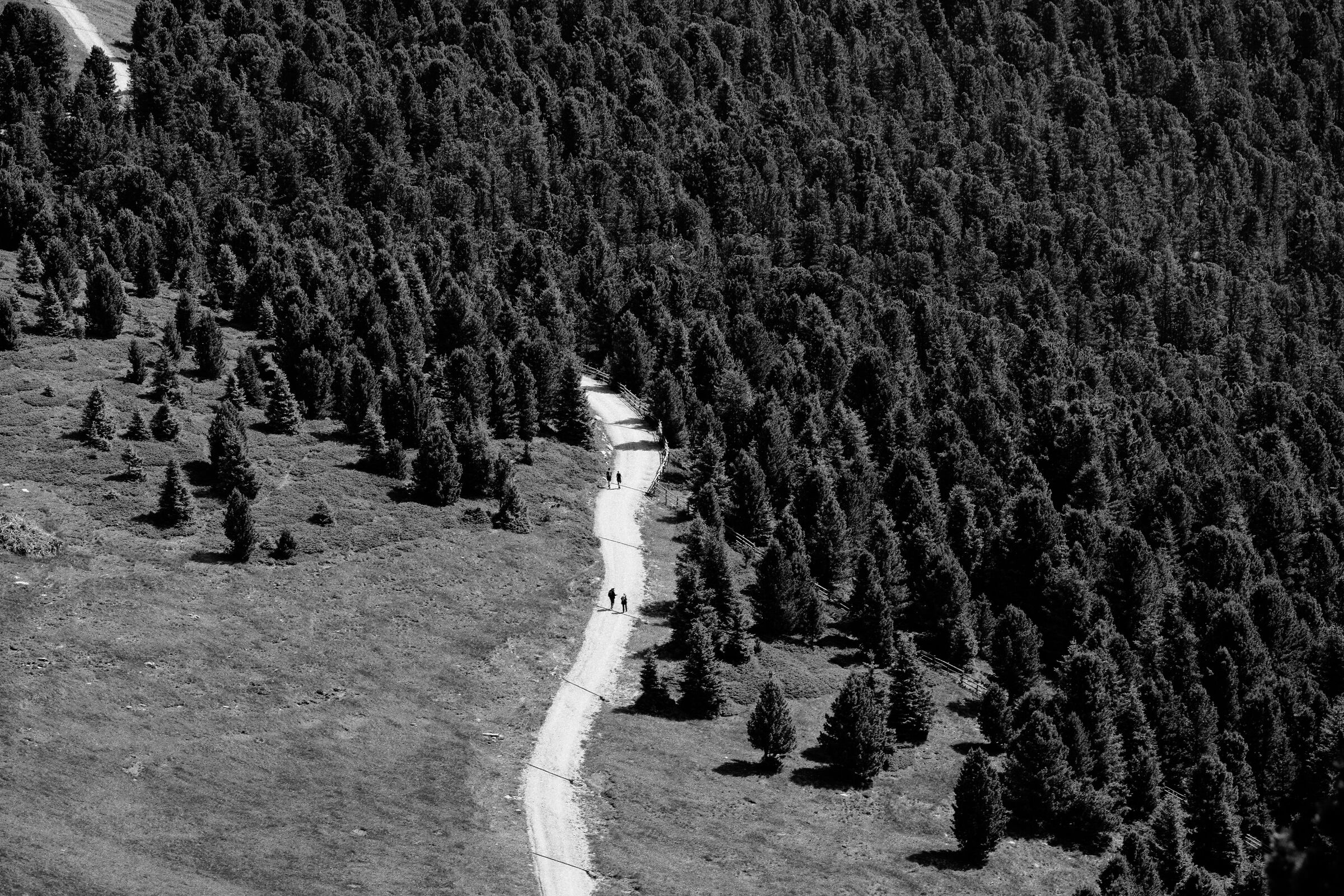 Towards the Brogles mountain hut