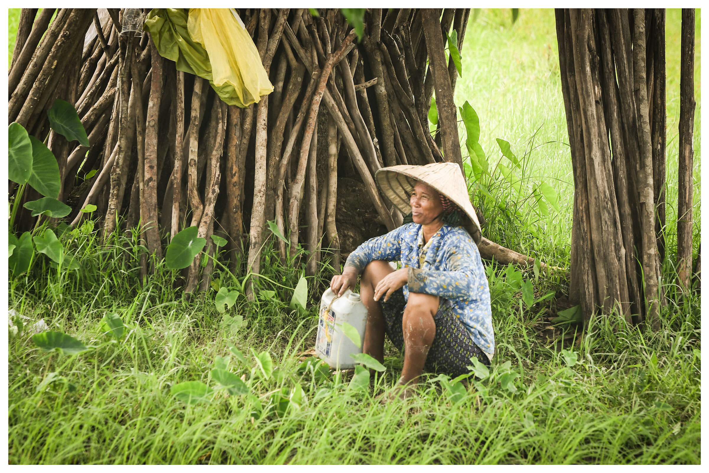 Break in the paddy field